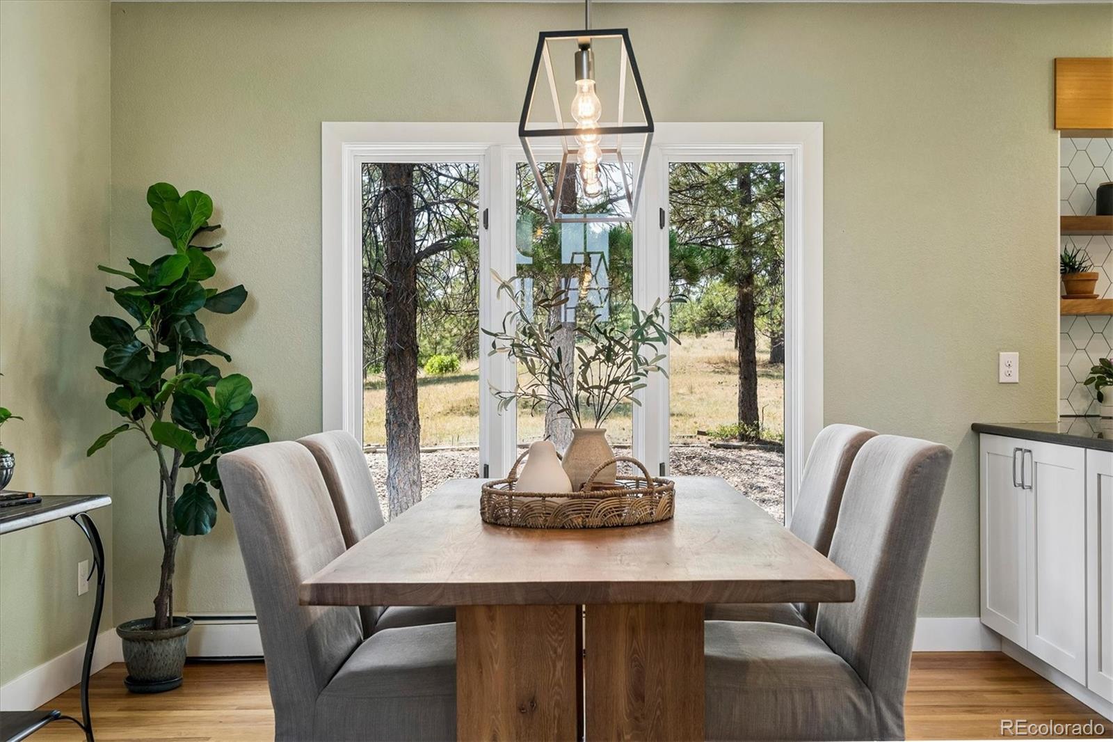 MLS Image #10 for 8930  burning tree drive,franktown, Colorado