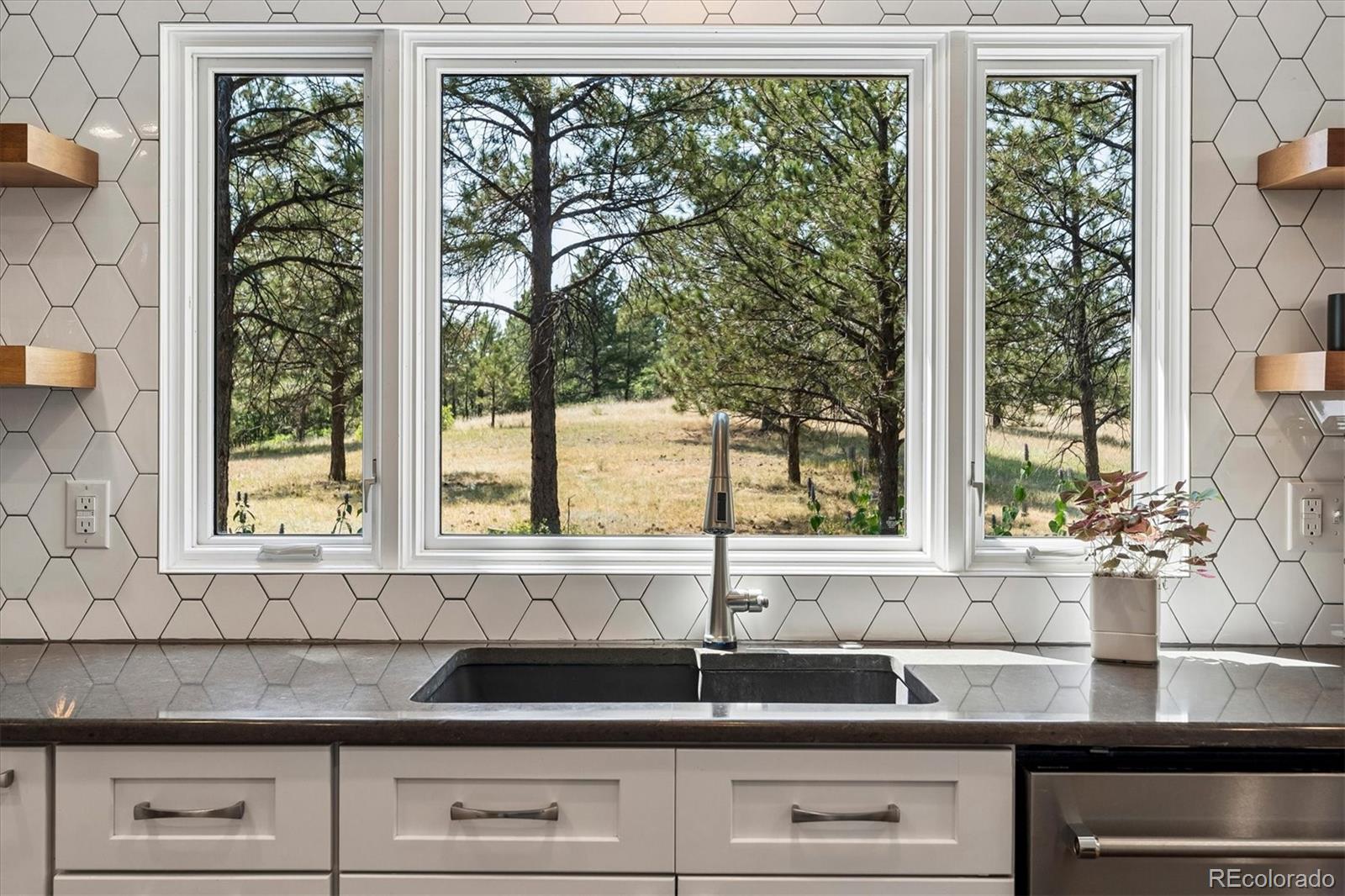 MLS Image #13 for 8930  burning tree drive,franktown, Colorado
