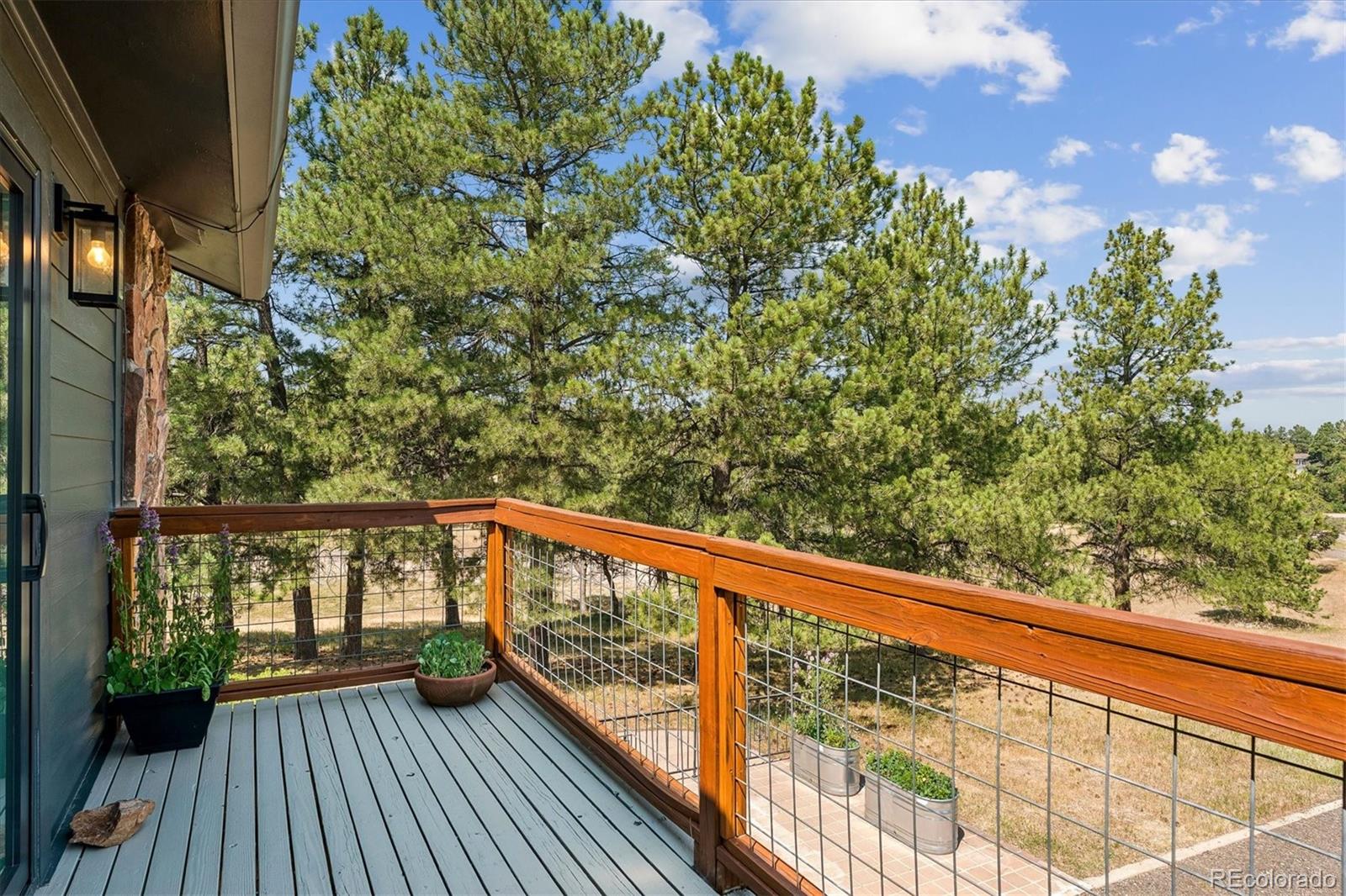 MLS Image #19 for 8930  burning tree drive,franktown, Colorado