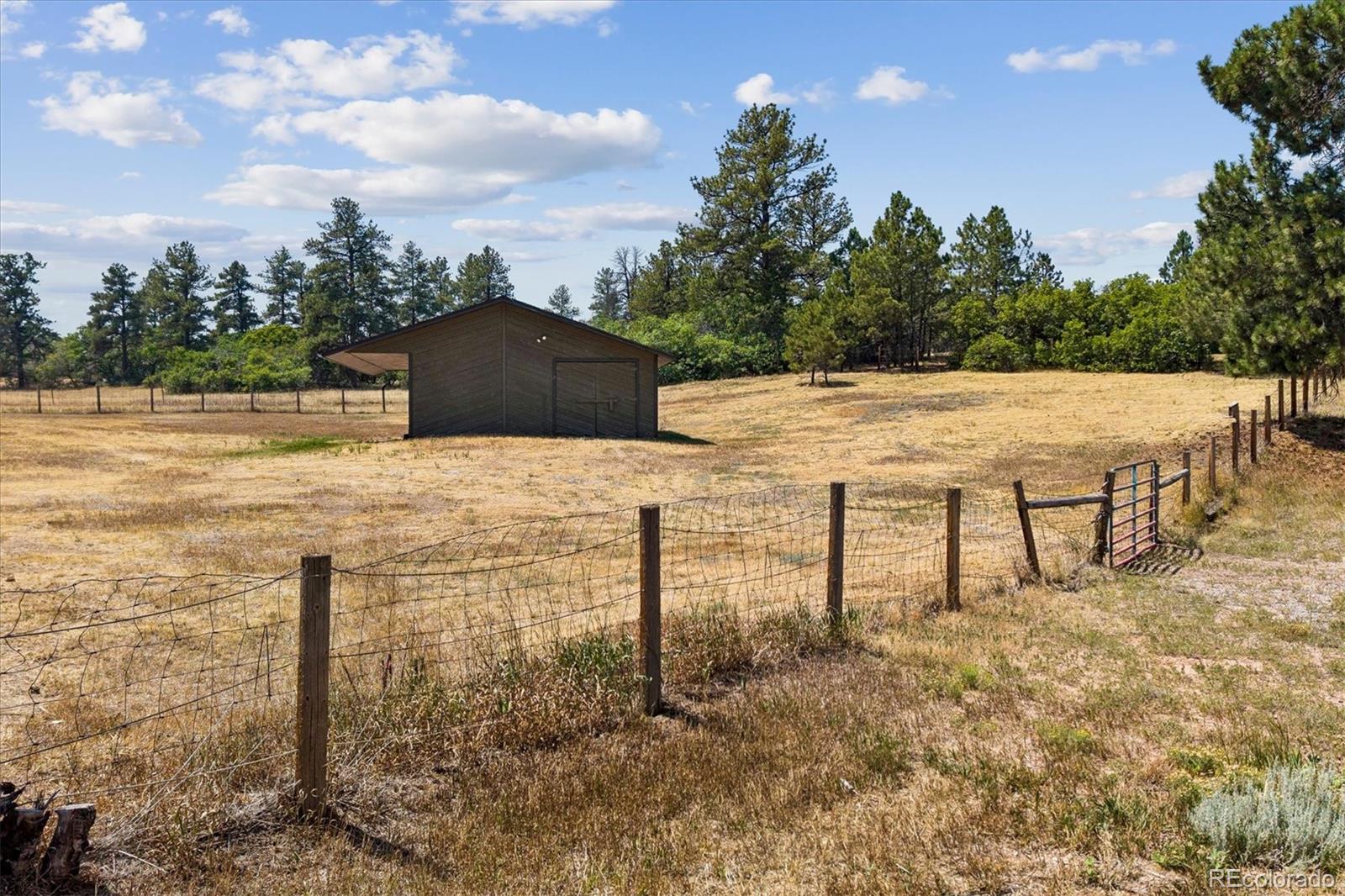 MLS Image #31 for 8930  burning tree drive,franktown, Colorado
