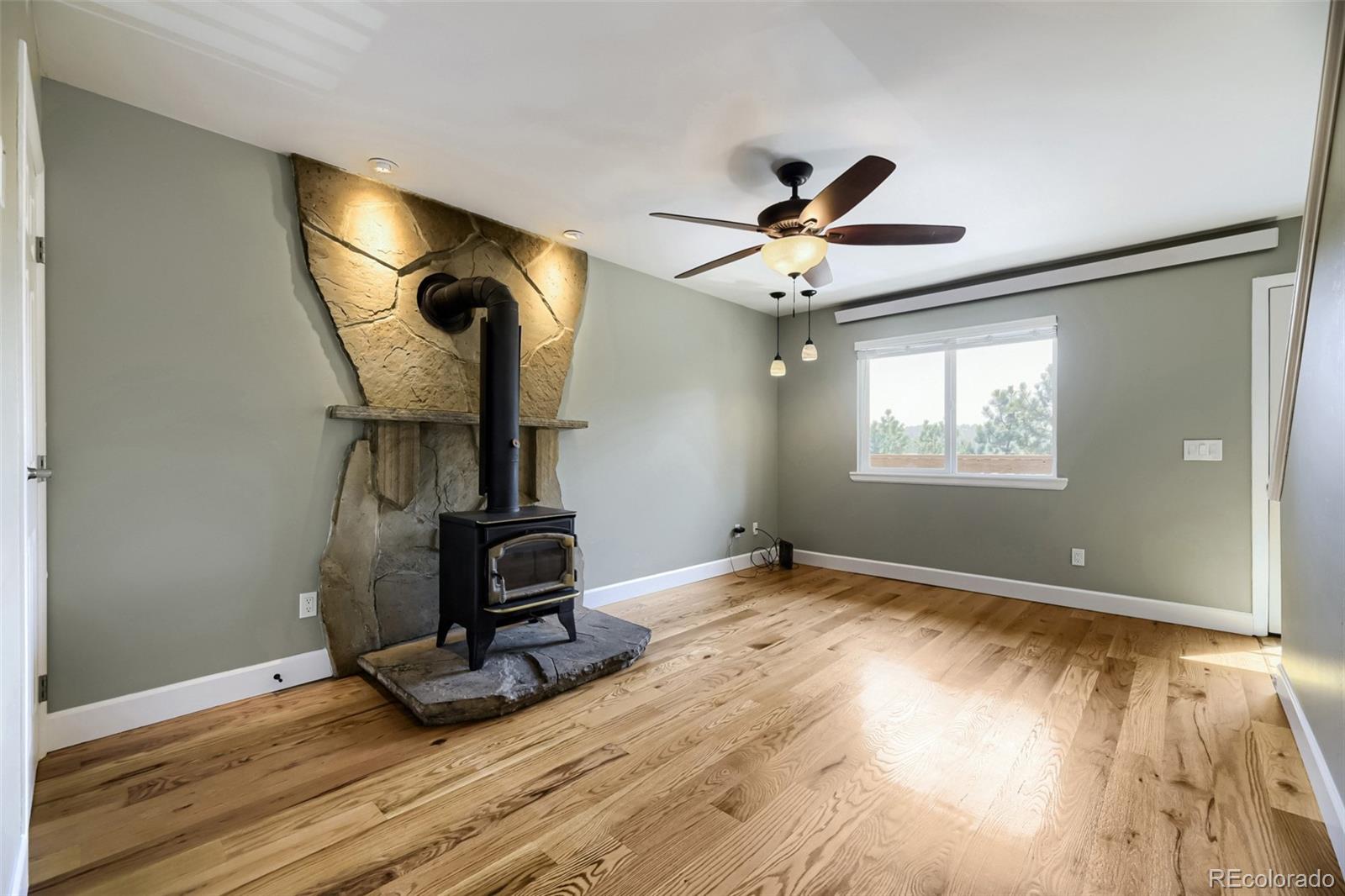 MLS Image #6 for 30157  aspen lane,evergreen, Colorado