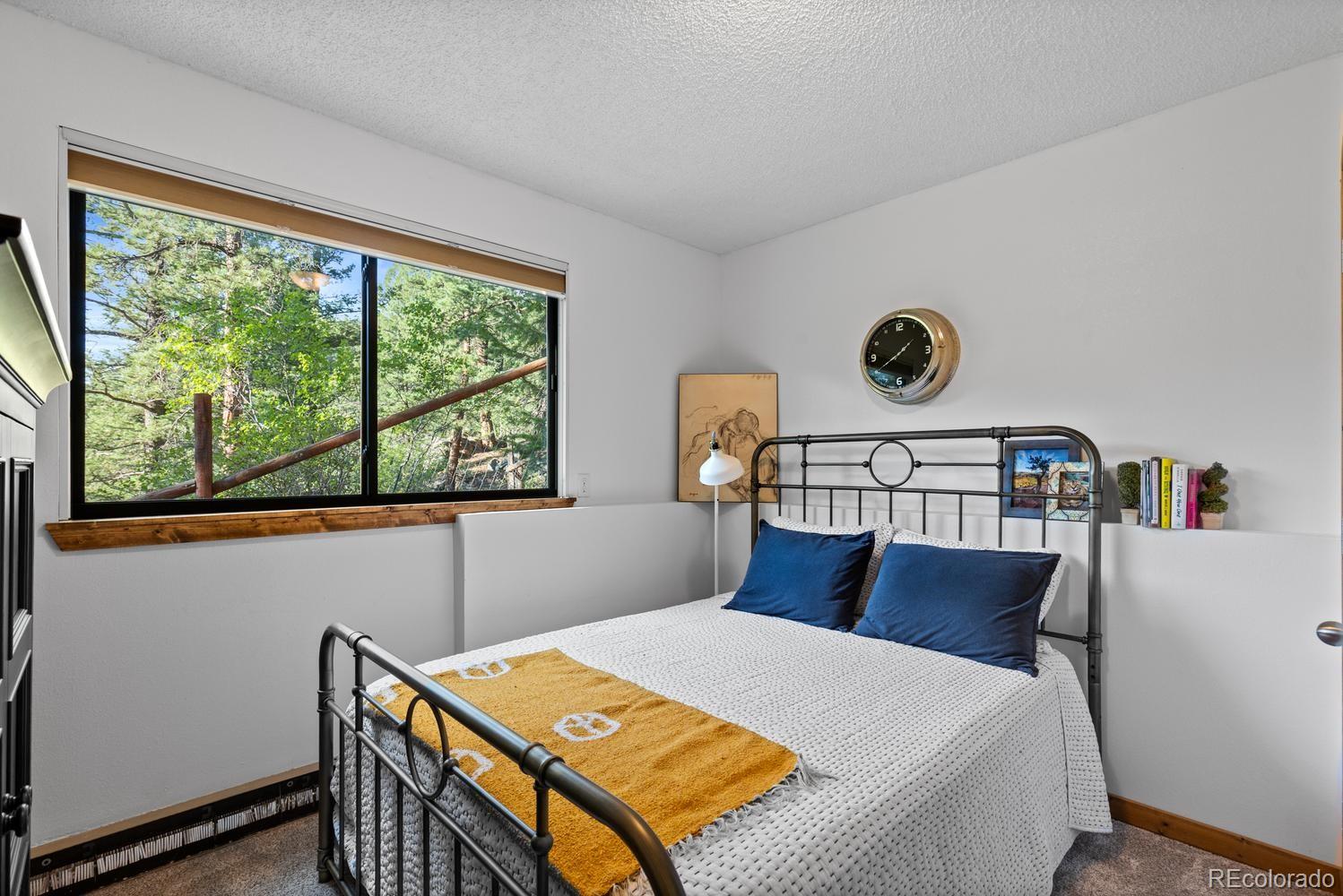 MLS Image #23 for 129  silver springs road,bailey, Colorado