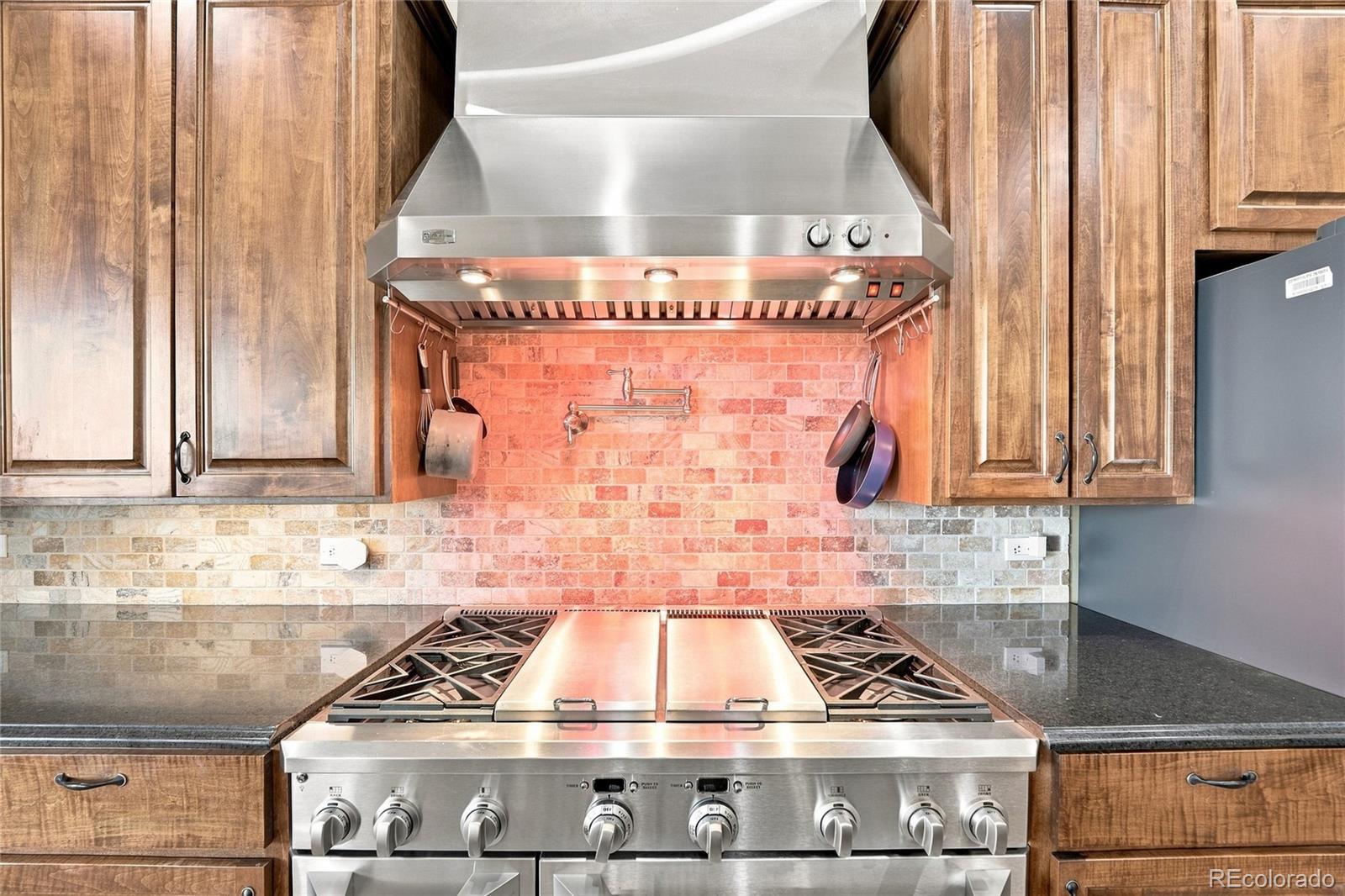 MLS Image #13 for 9753  falcon roost point,parker, Colorado