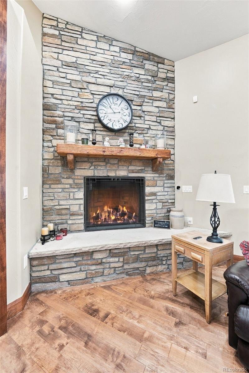 MLS Image #6 for 9753  falcon roost point,parker, Colorado