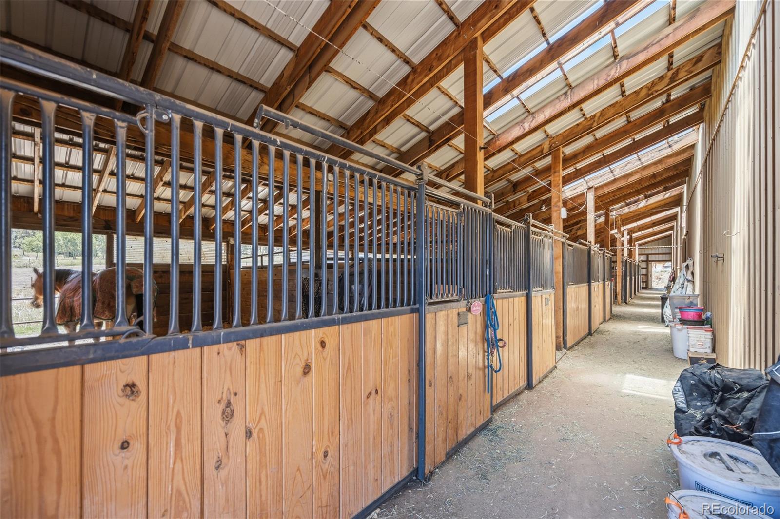 MLS Image #11 for 23615  oehlmann park road,conifer, Colorado