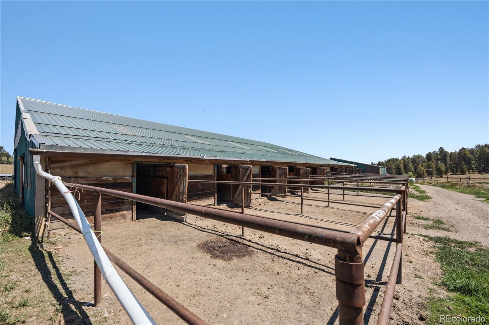 MLS Image #13 for 23615  oehlmann park road,conifer, Colorado