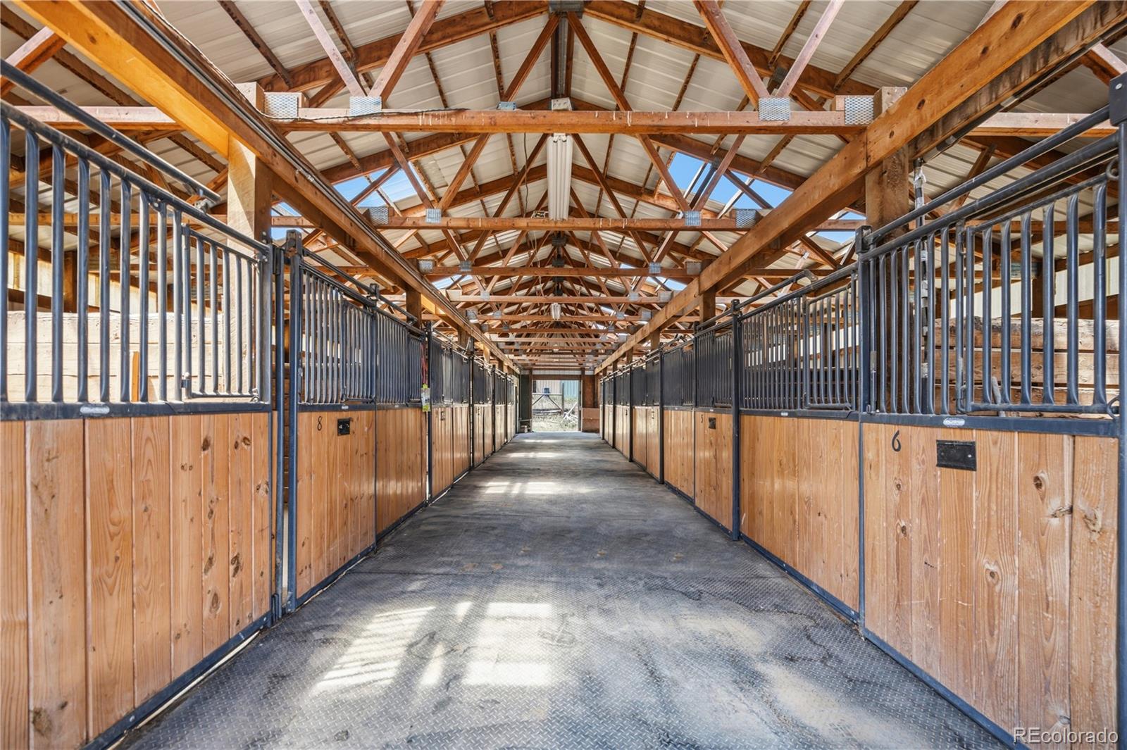 MLS Image #14 for 23615  oehlmann park road,conifer, Colorado