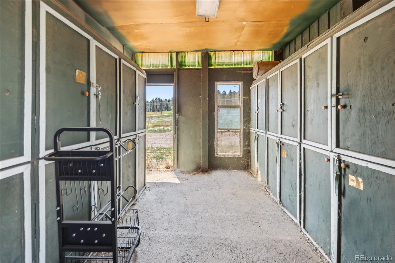 MLS Image #17 for 23615  oehlmann park road,conifer, Colorado