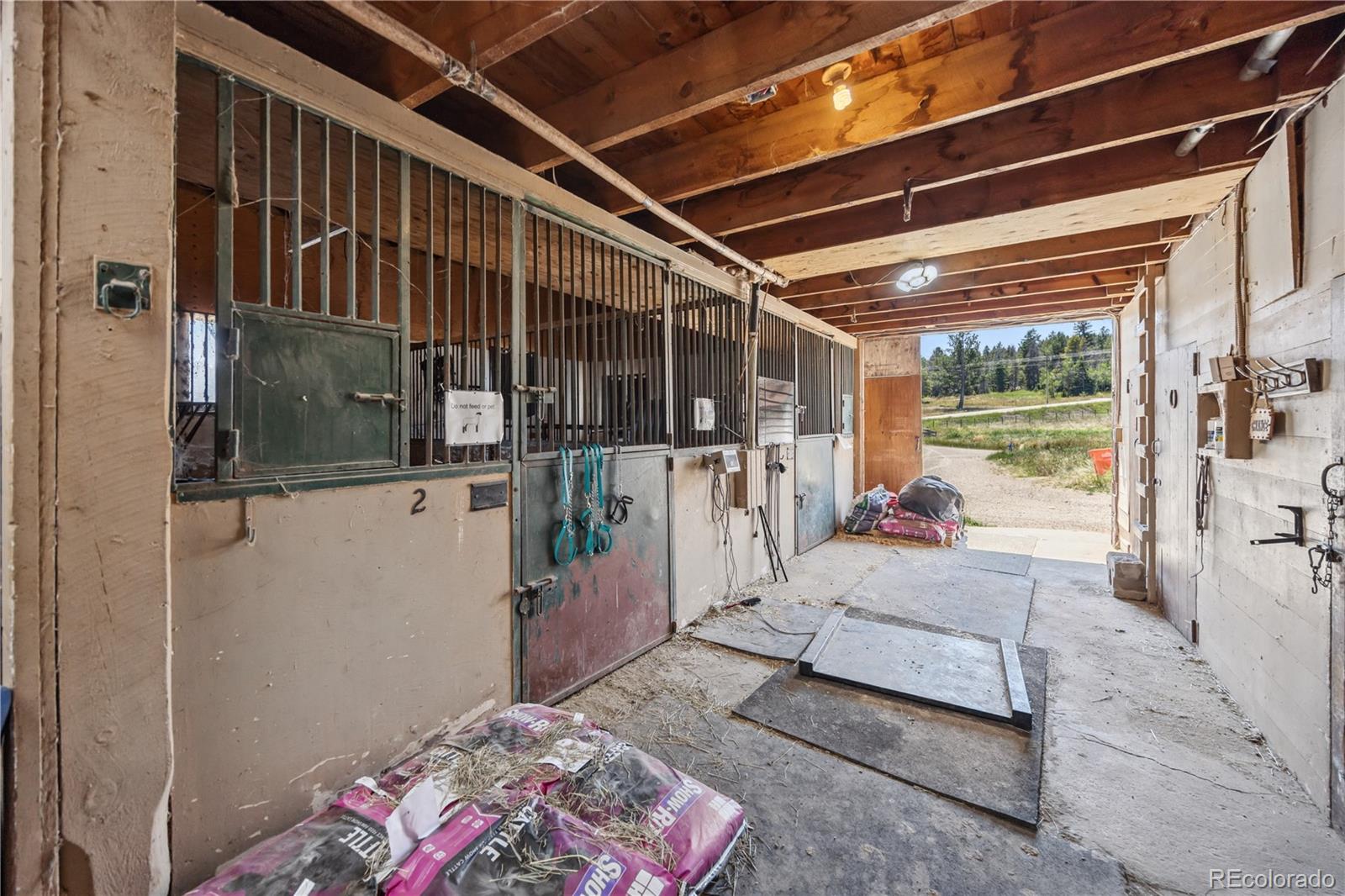 MLS Image #23 for 23615  oehlmann park road,conifer, Colorado