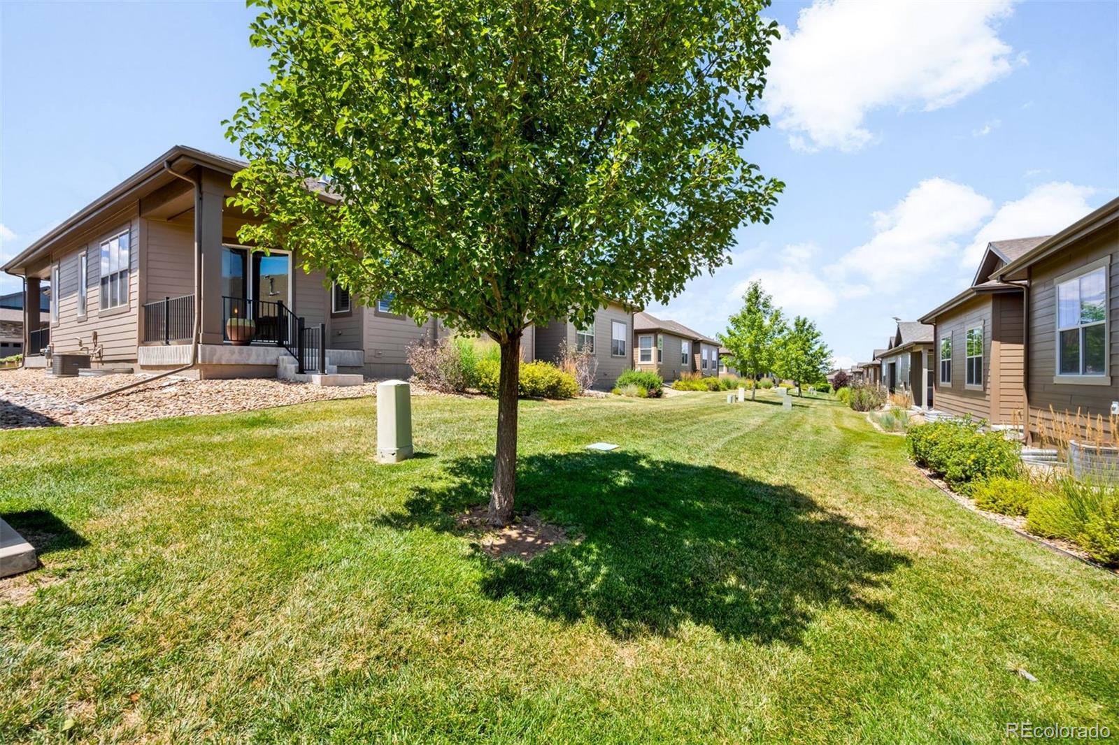 MLS Image #23 for 3566  new haven circle,castle rock, Colorado