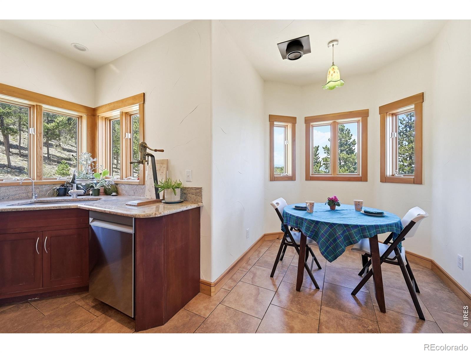 MLS Image #13 for 800  divide view drive,golden, Colorado