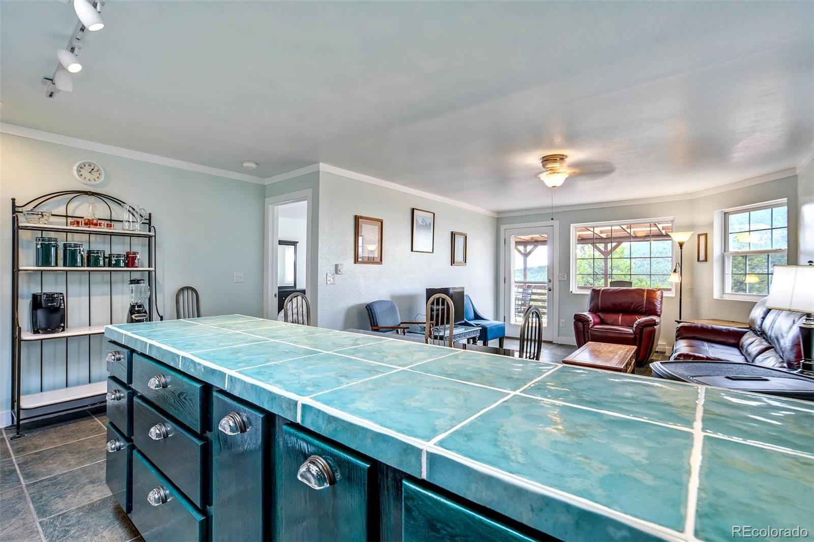 MLS Image #11 for 349  post road,guffey, Colorado