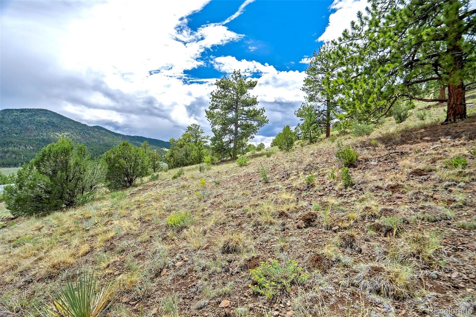 MLS Image #34 for 349  post road,guffey, Colorado