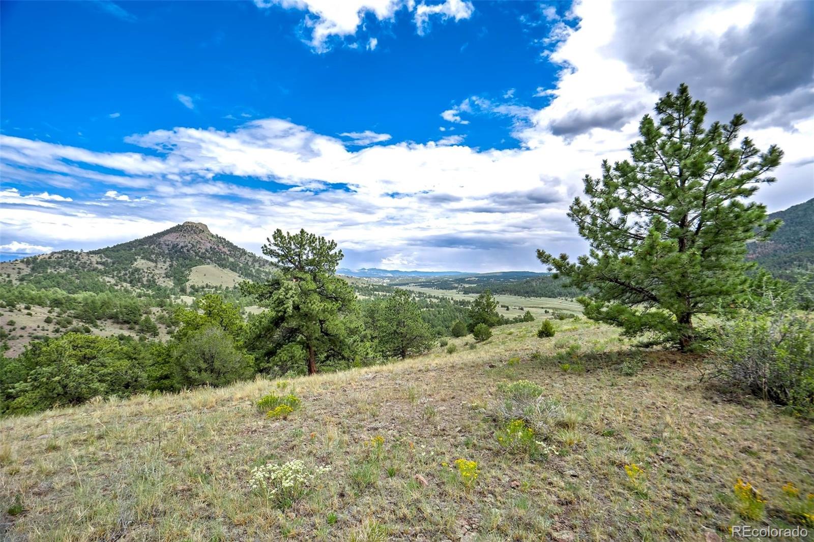 MLS Image #35 for 349  post road,guffey, Colorado