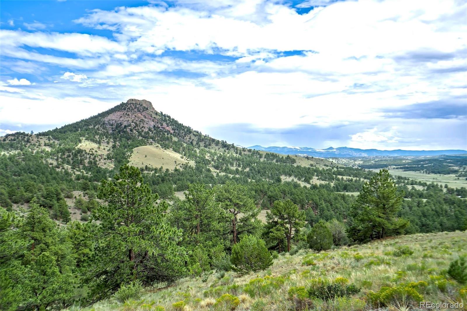 MLS Image #36 for 349  post road,guffey, Colorado