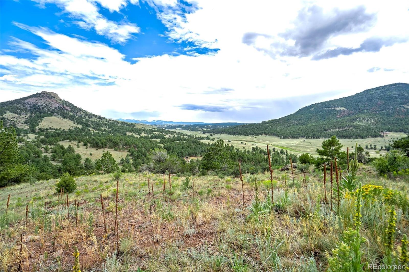 MLS Image #39 for 349  post road,guffey, Colorado
