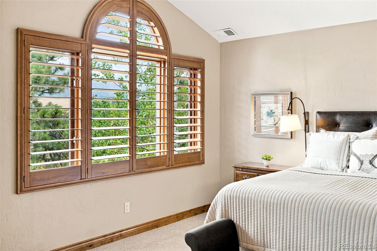 MLS Image #20 for 31477  banff court,evergreen, Colorado