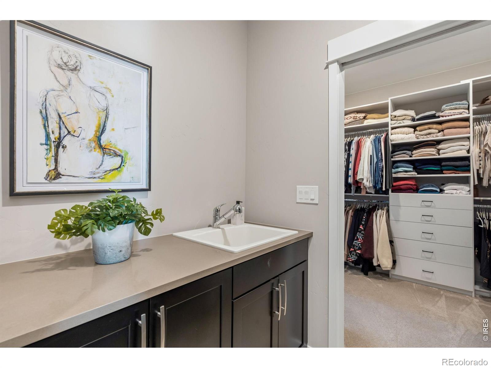 MLS Image #17 for 7883  cherry blossom drive,windsor, Colorado