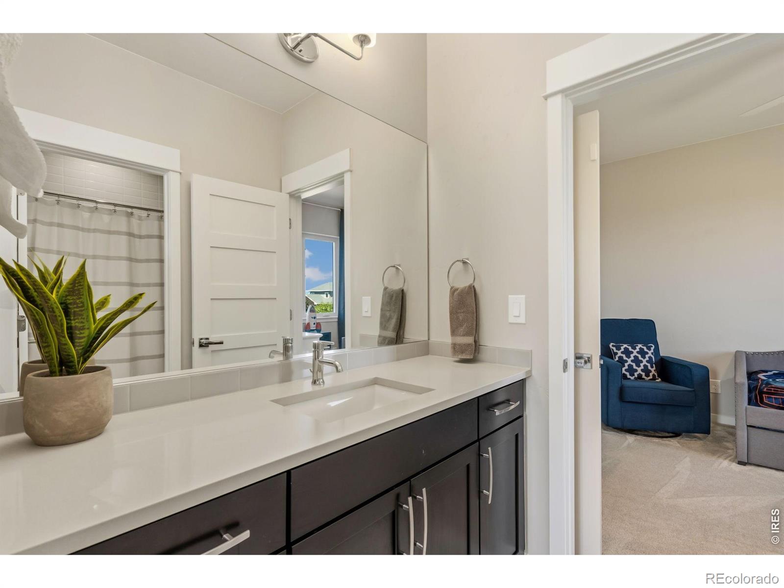 MLS Image #19 for 7883  cherry blossom drive,windsor, Colorado