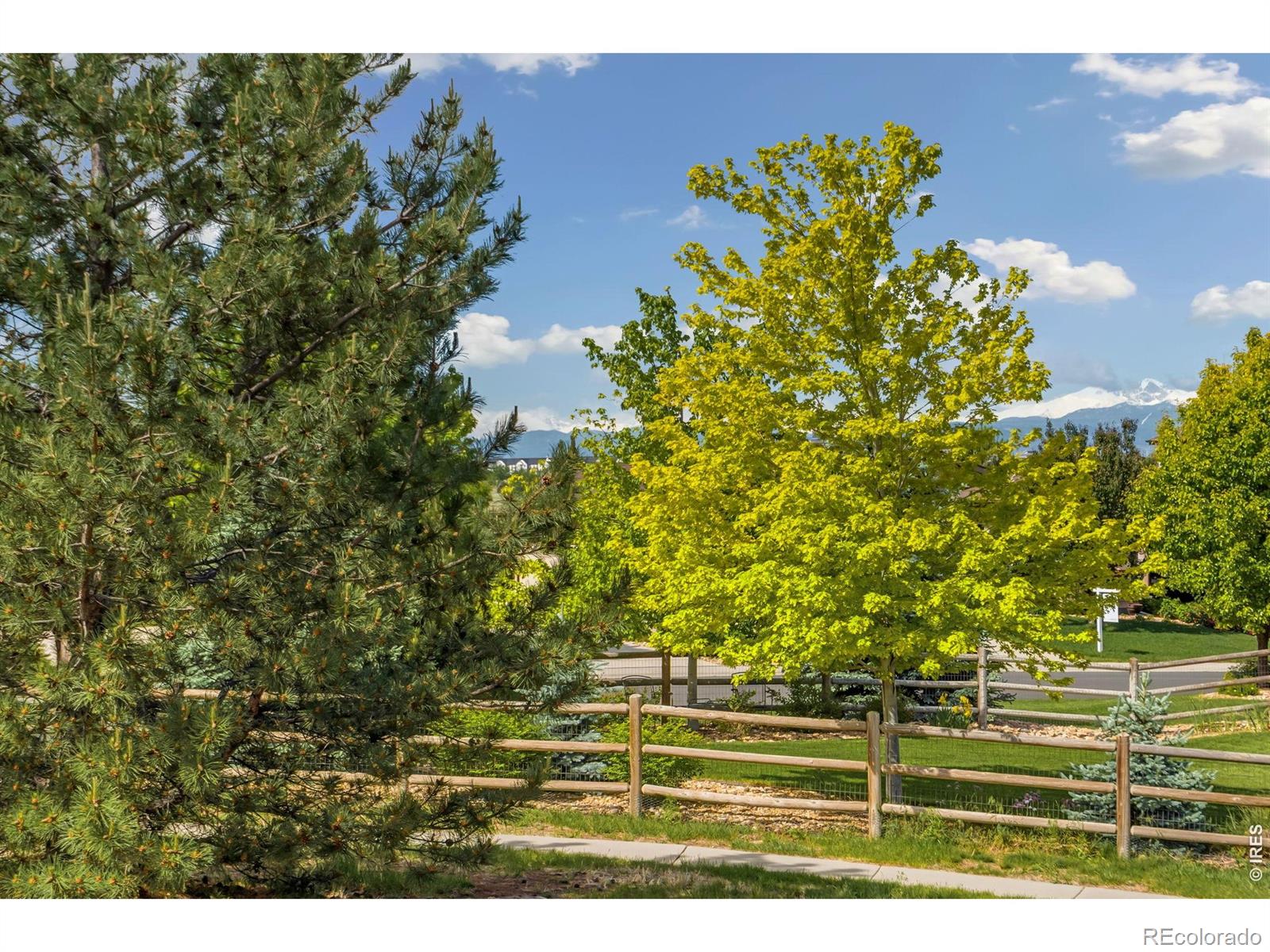 MLS Image #3 for 7883  cherry blossom drive,windsor, Colorado