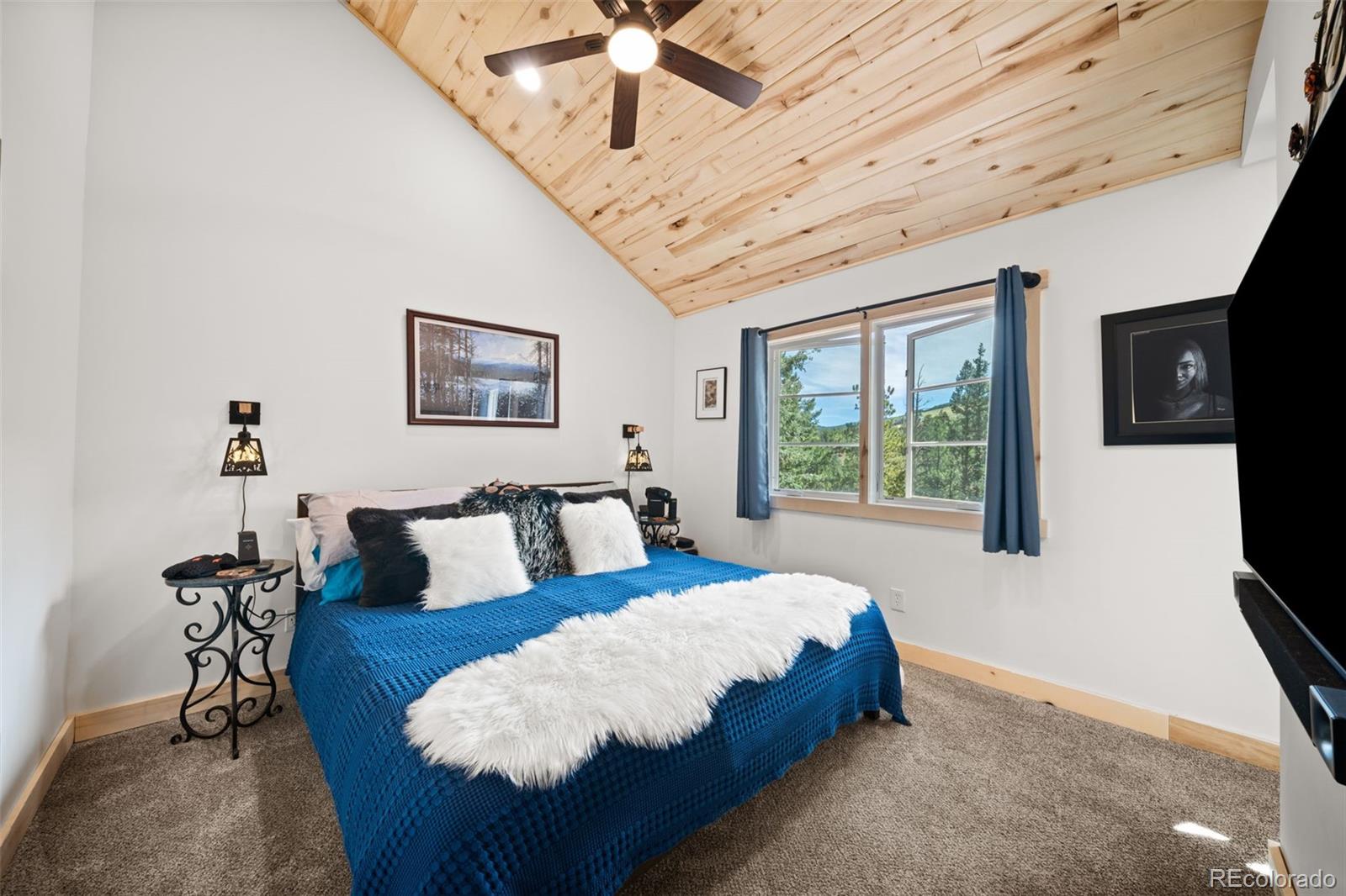 MLS Image #14 for 475  crystal drive,cripple creek, Colorado