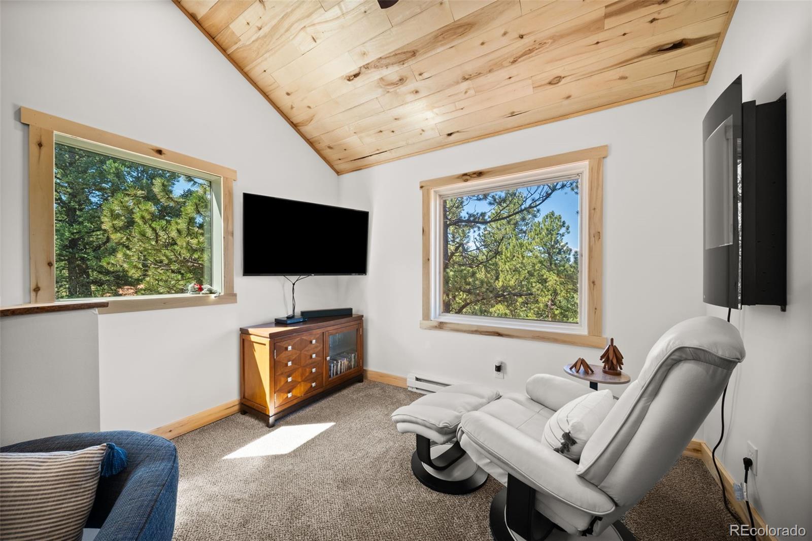 MLS Image #18 for 475  crystal drive,cripple creek, Colorado