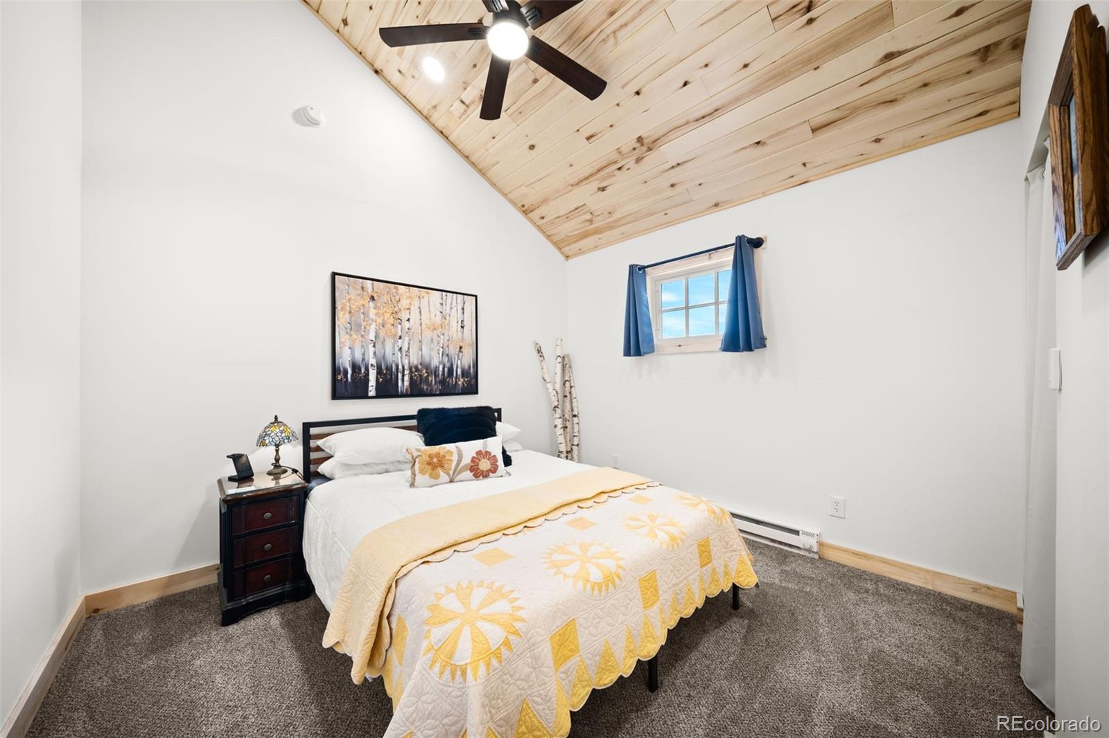 MLS Image #21 for 475  crystal drive,cripple creek, Colorado