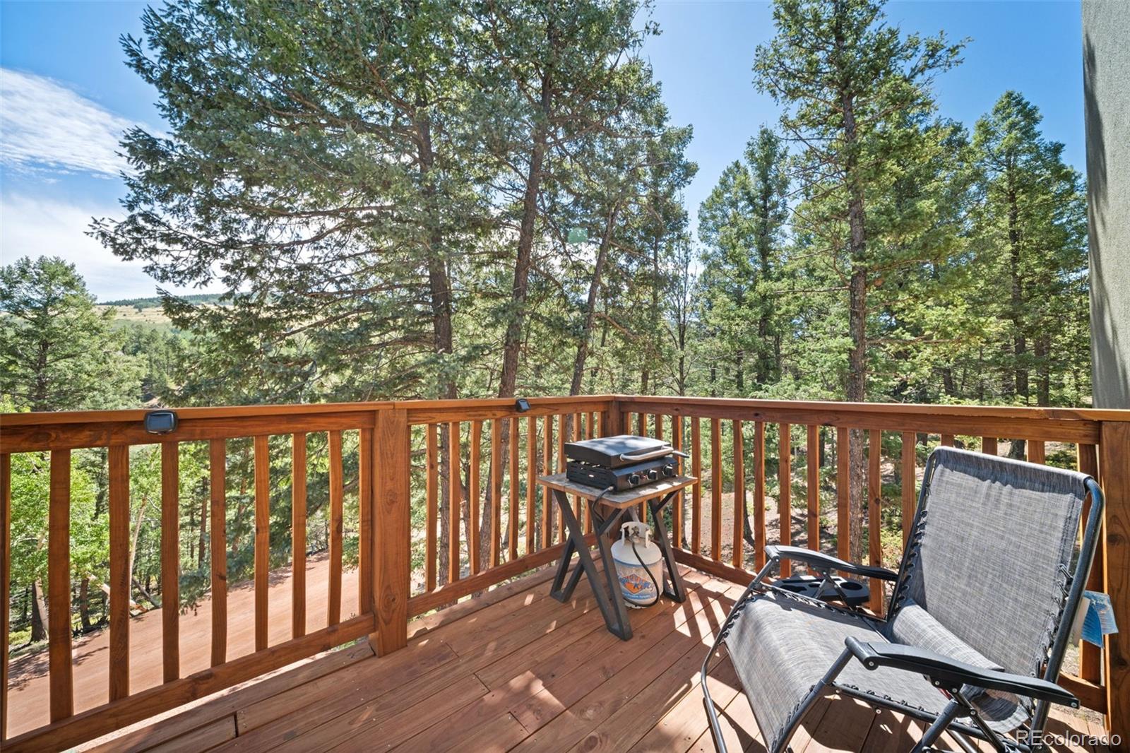 MLS Image #27 for 475  crystal drive,cripple creek, Colorado
