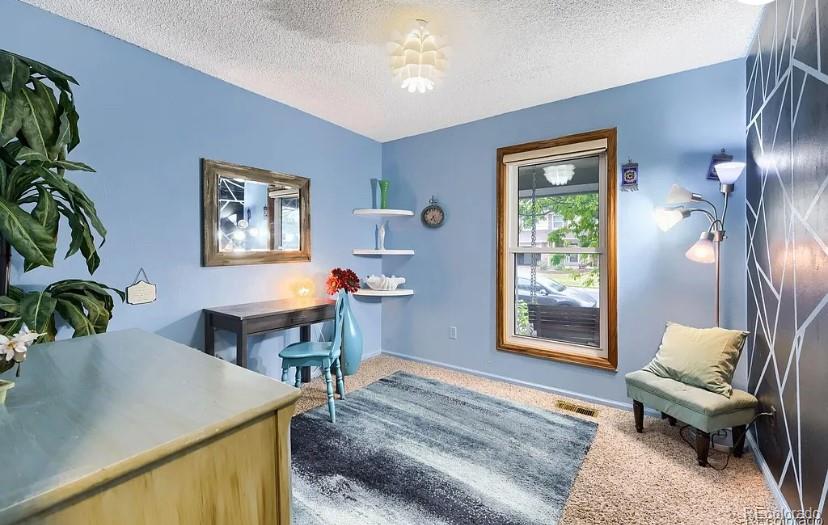 MLS Image #21 for 8266 s logan court,littleton, Colorado