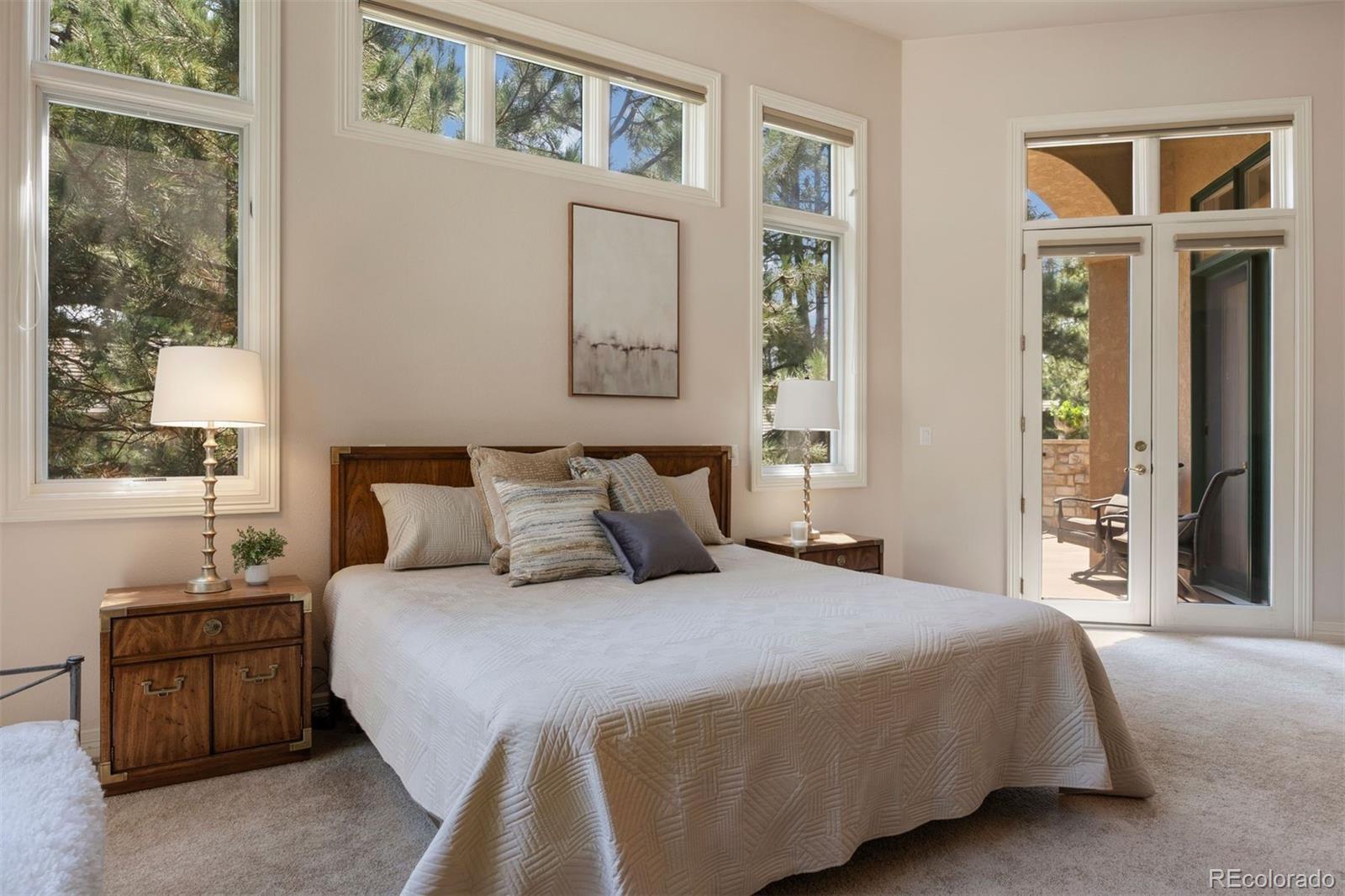 MLS Image #13 for 4515  silver cliff court,castle rock, Colorado