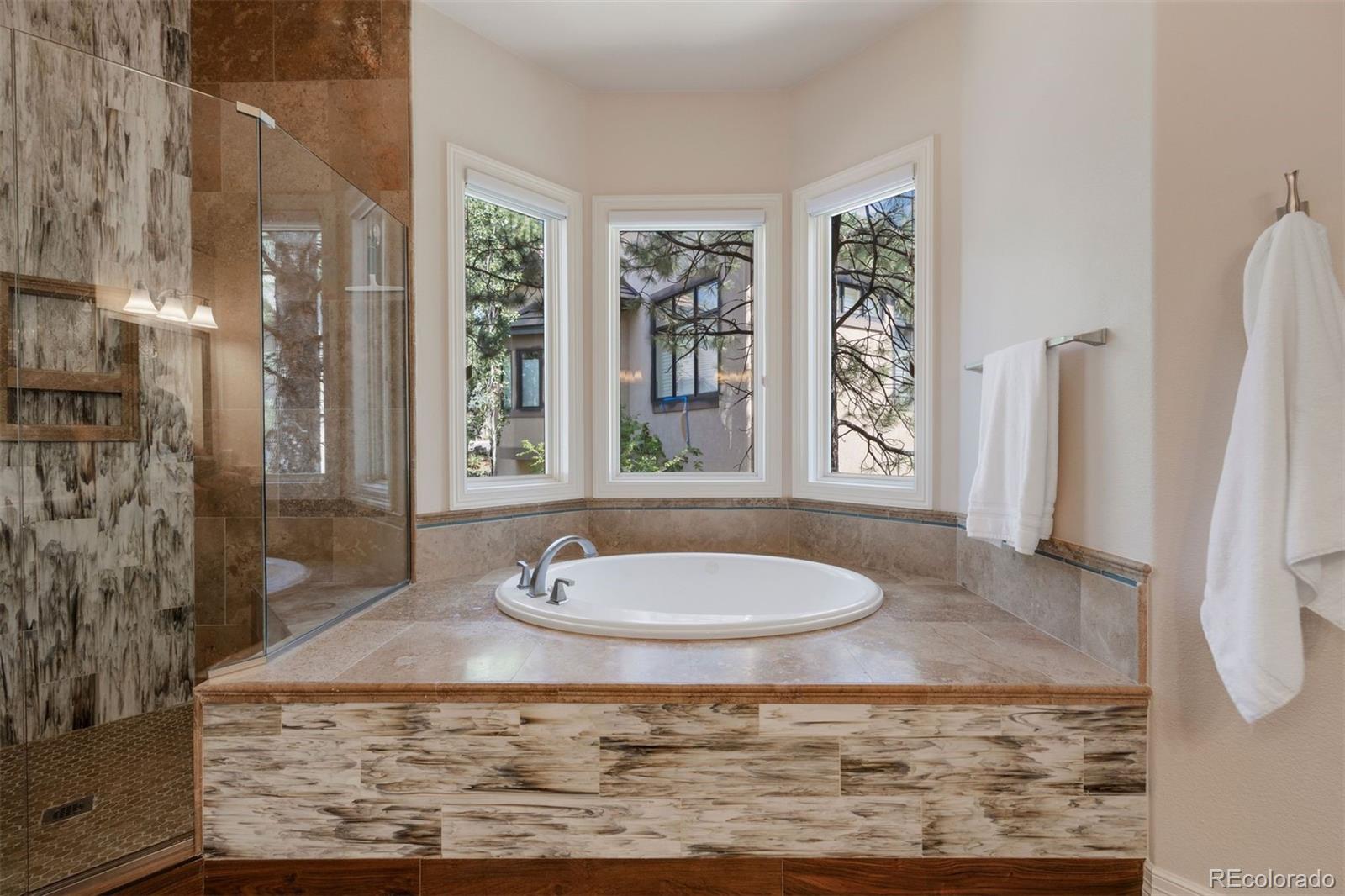 MLS Image #15 for 4515  silver cliff court,castle rock, Colorado