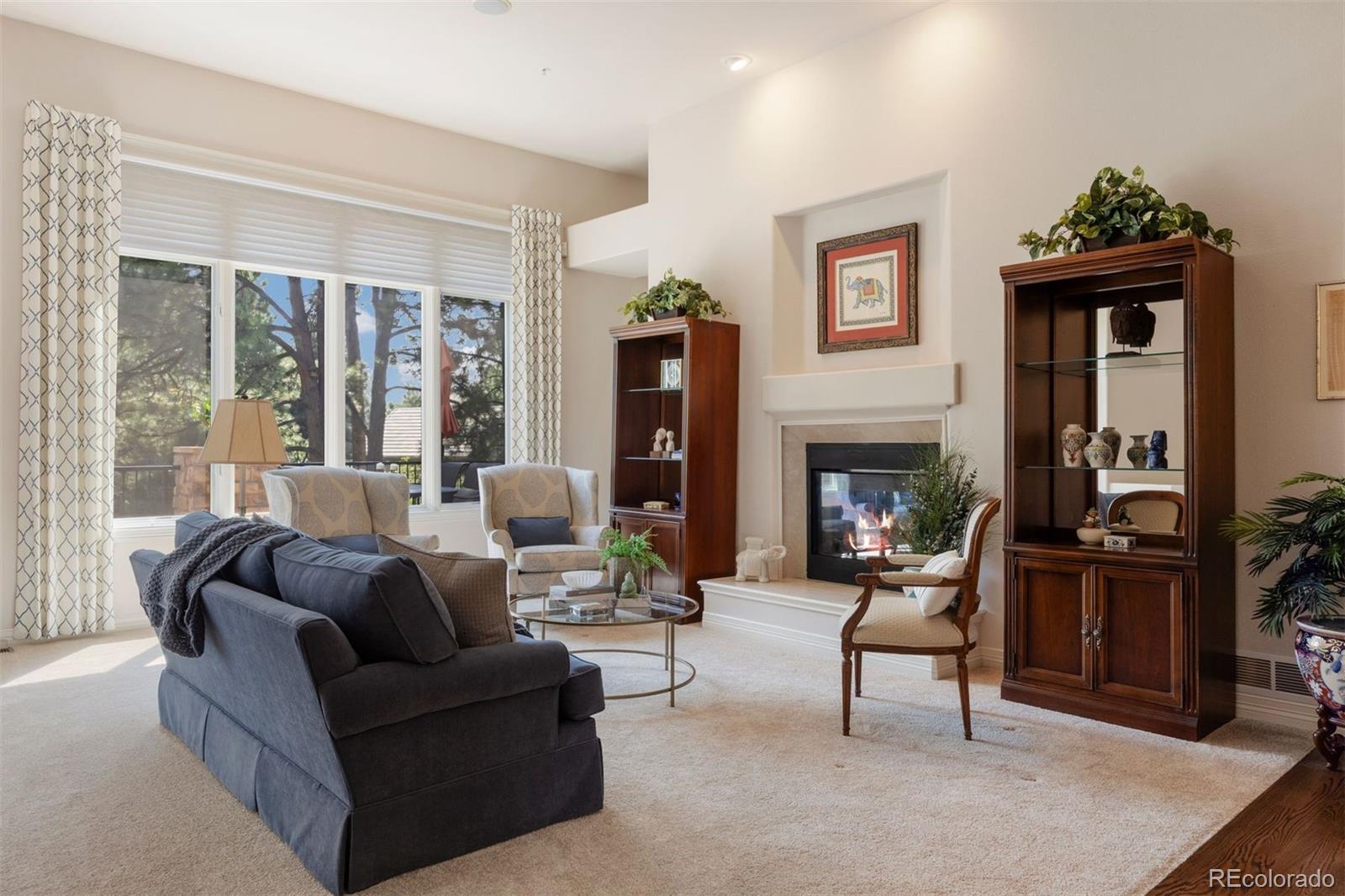 MLS Image #17 for 4515  silver cliff court,castle rock, Colorado