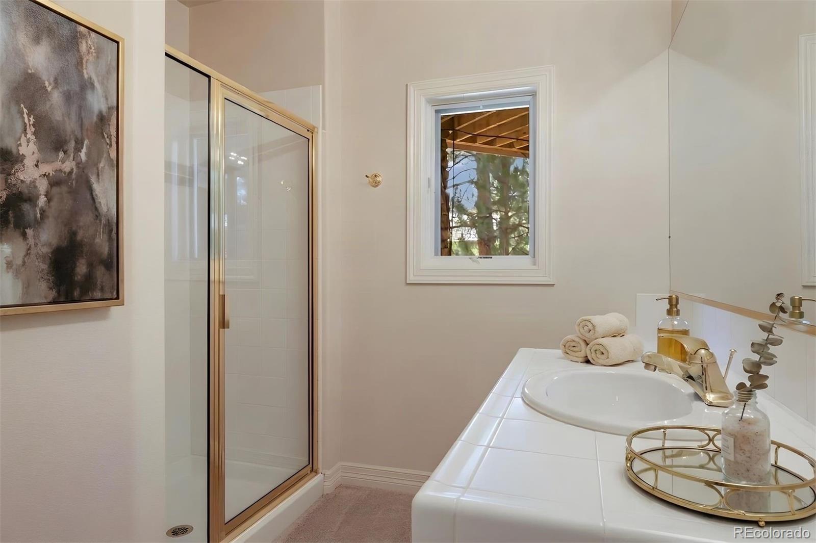 MLS Image #25 for 4515  silver cliff court,castle rock, Colorado