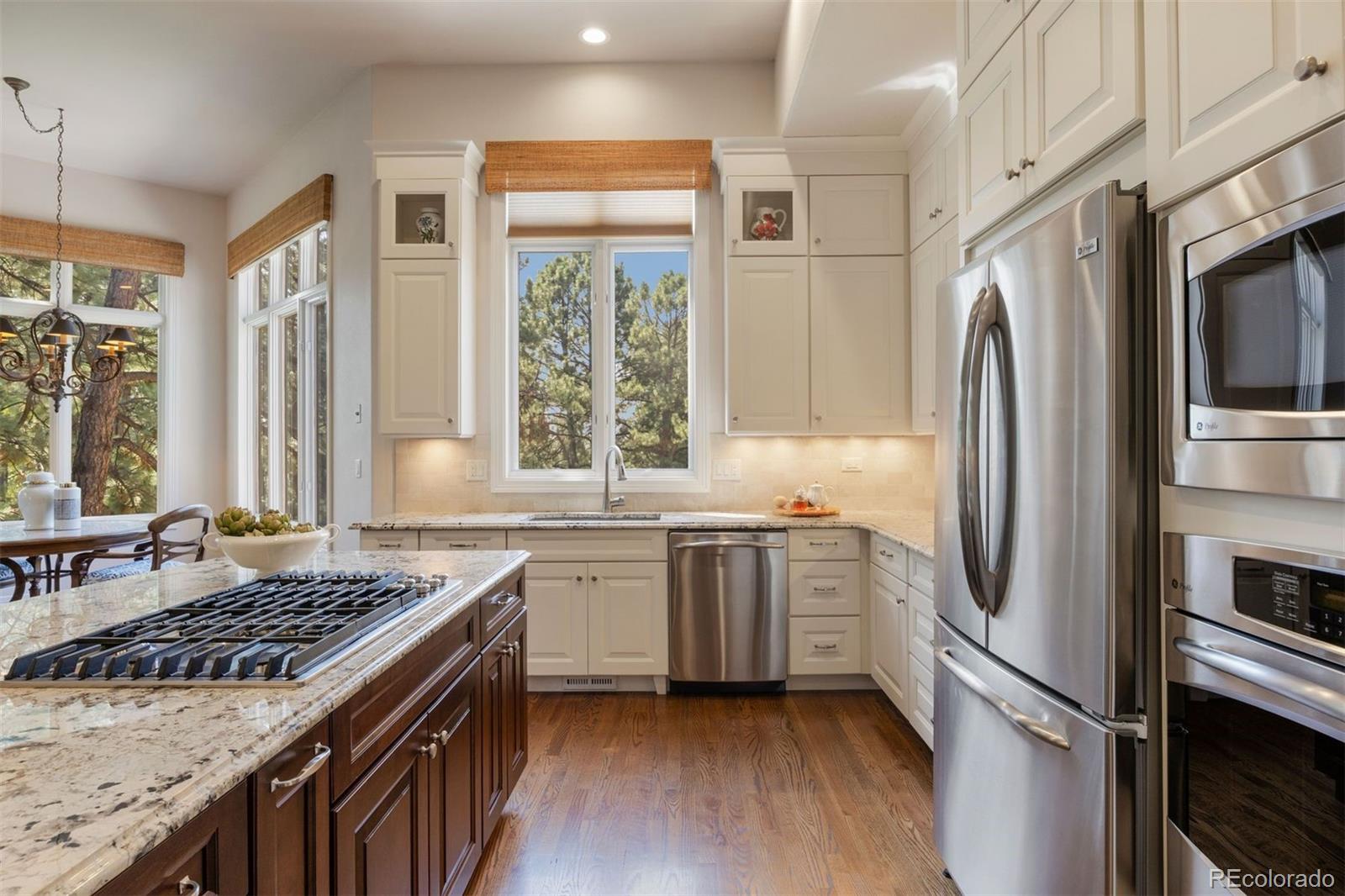 MLS Image #3 for 4515  silver cliff court,castle rock, Colorado