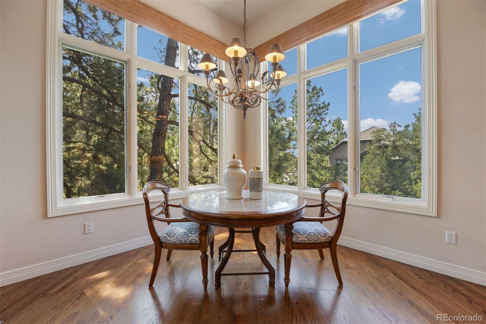 MLS Image #5 for 4515  silver cliff court,castle rock, Colorado