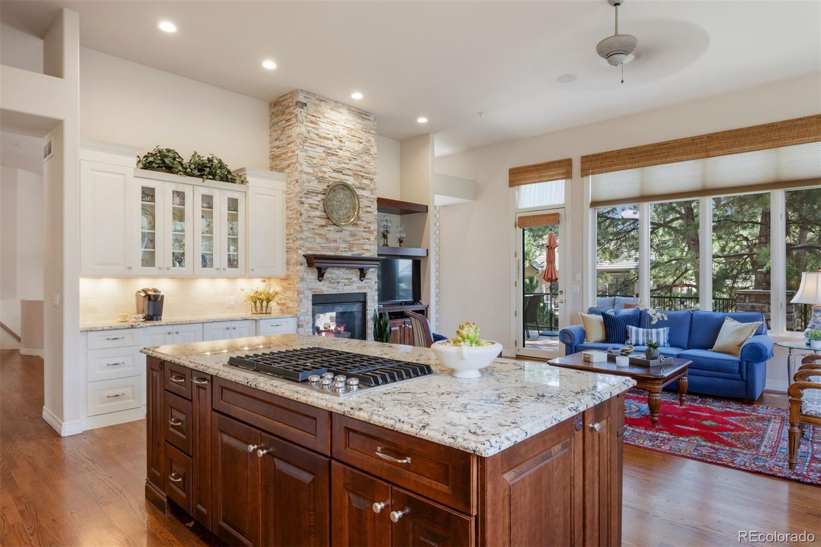 MLS Image #7 for 4515  silver cliff court,castle rock, Colorado