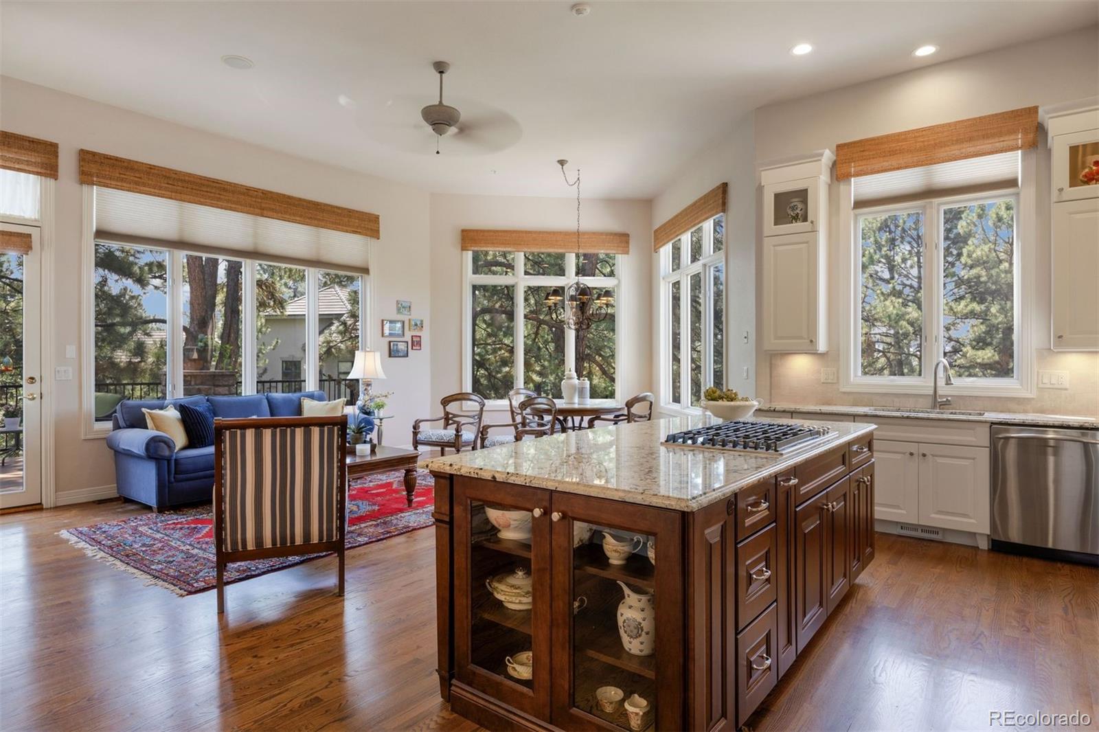 MLS Image #8 for 4515  silver cliff court,castle rock, Colorado