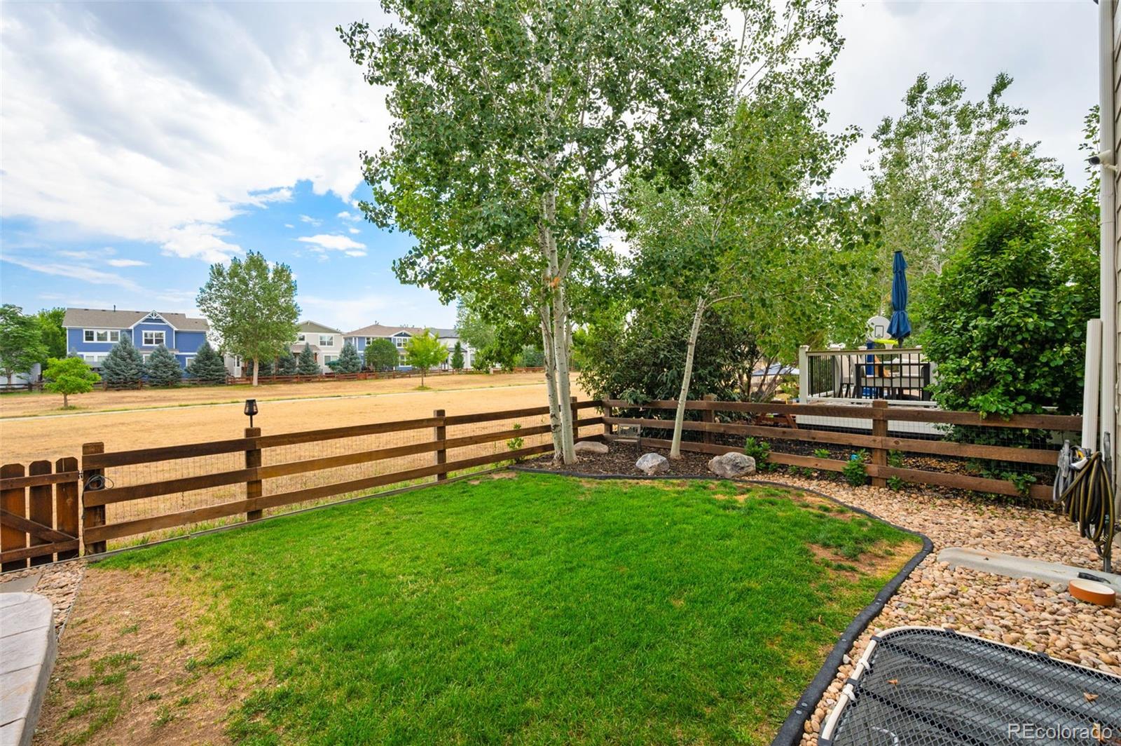 MLS Image #42 for 61 s high street,erie, Colorado