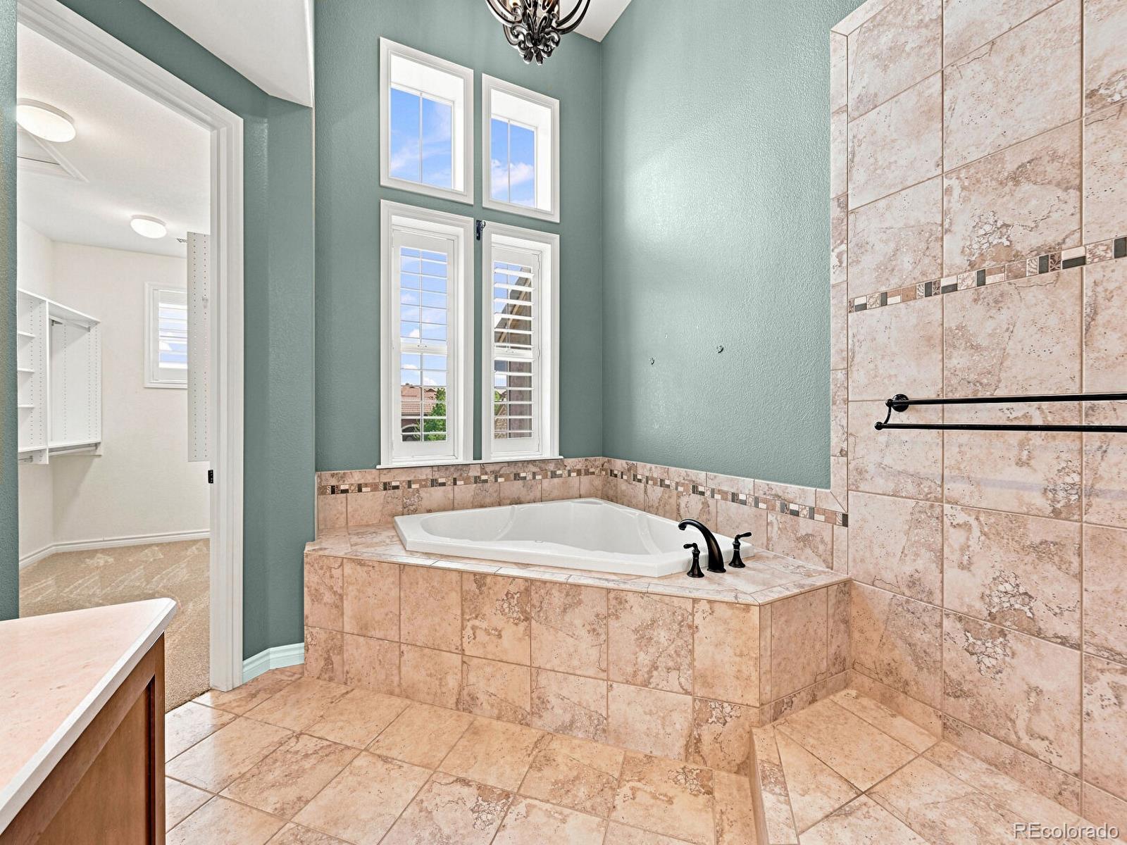 MLS Image #23 for 3038  veneto court,littleton, Colorado