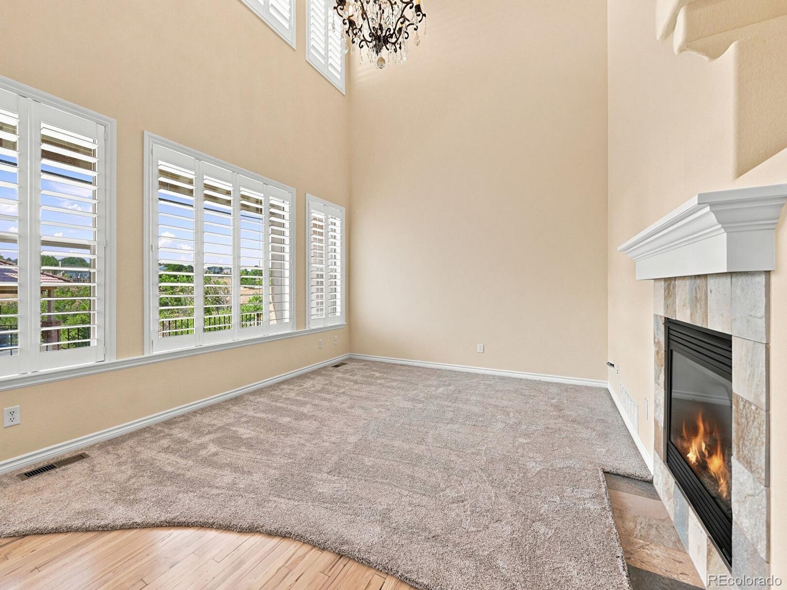 MLS Image #7 for 3038  veneto court,littleton, Colorado
