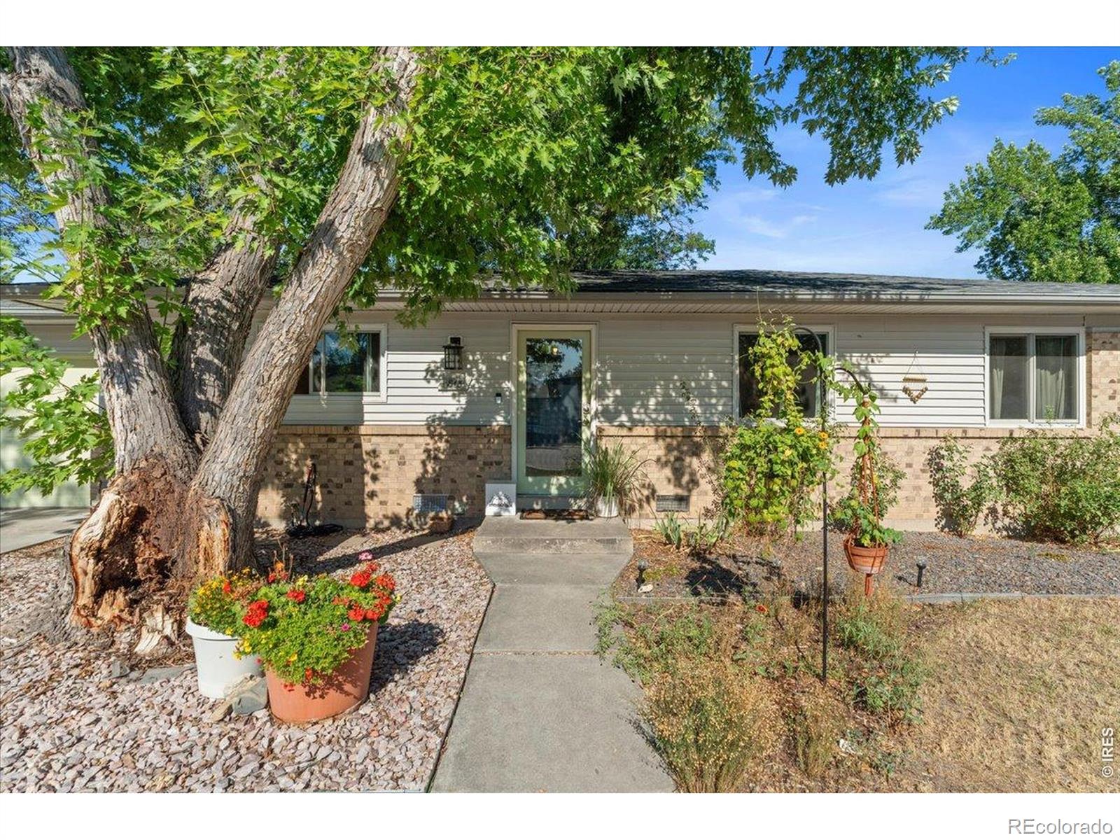 MLS Image #1 for 813  rocky road,fort collins, Colorado