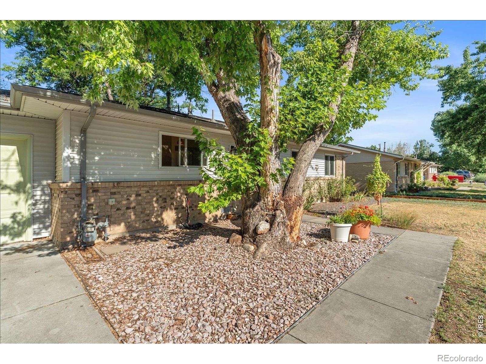 MLS Image #6 for 813  rocky road,fort collins, Colorado