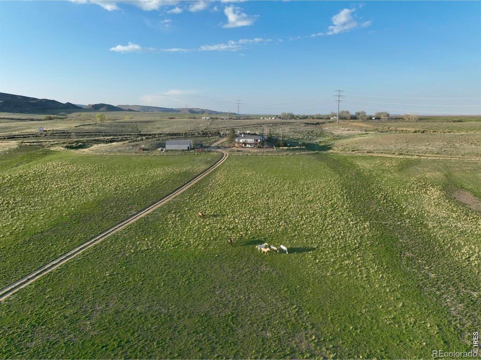 MLS Image #0 for 3259 w county road 80 ,wellington, Colorado