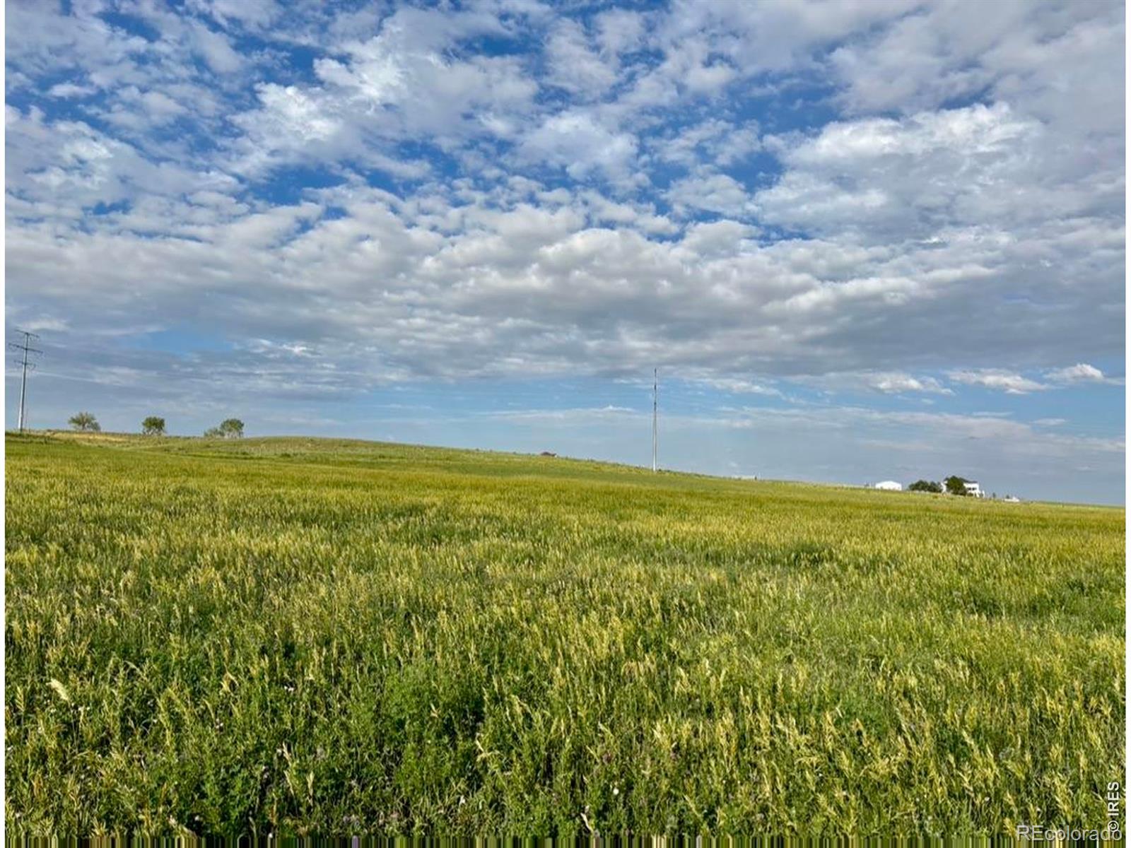 MLS Image #3 for 3259 w county road 80 ,wellington, Colorado