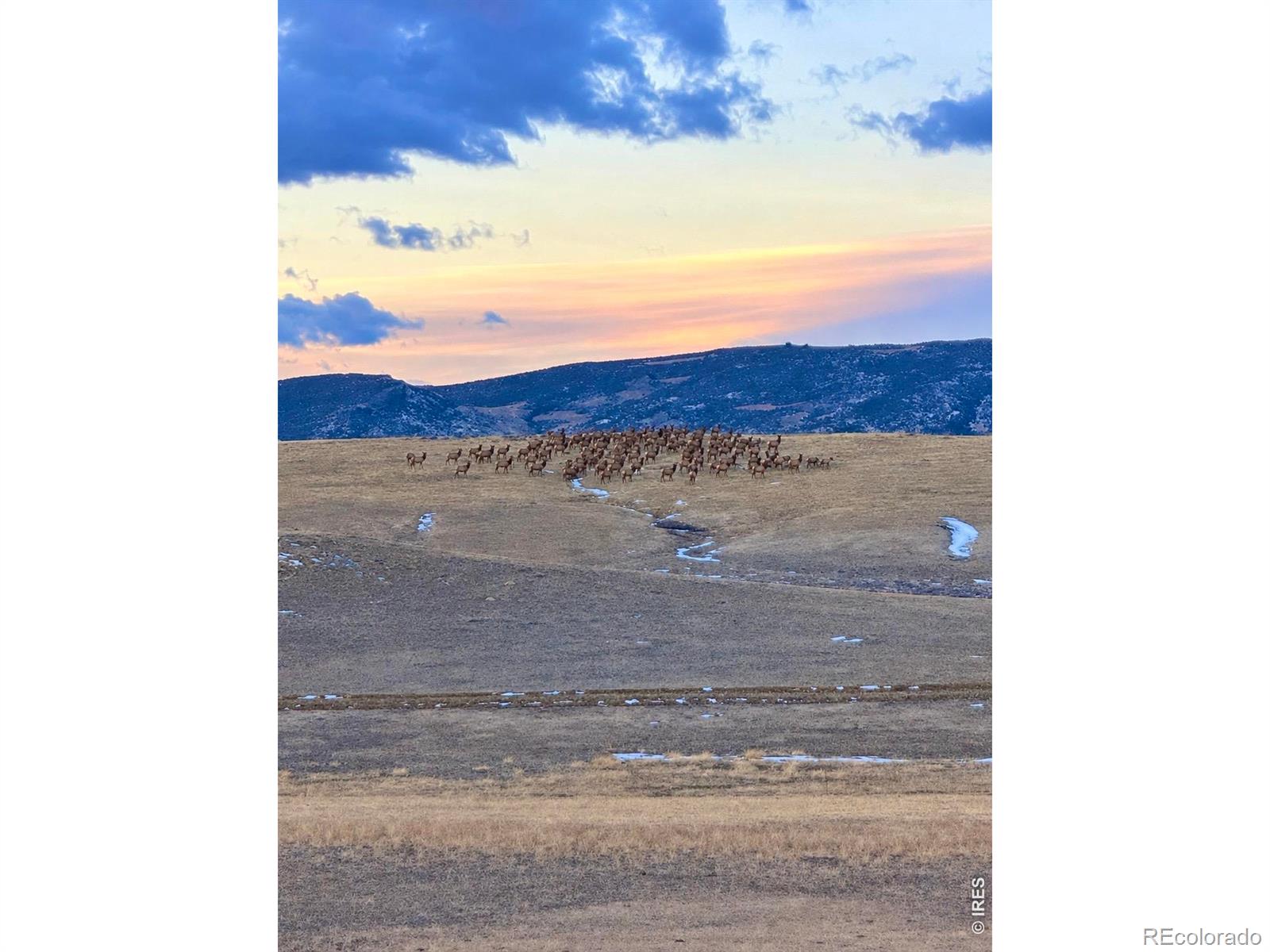 MLS Image #49 for 3259 w county road 80 ,wellington, Colorado