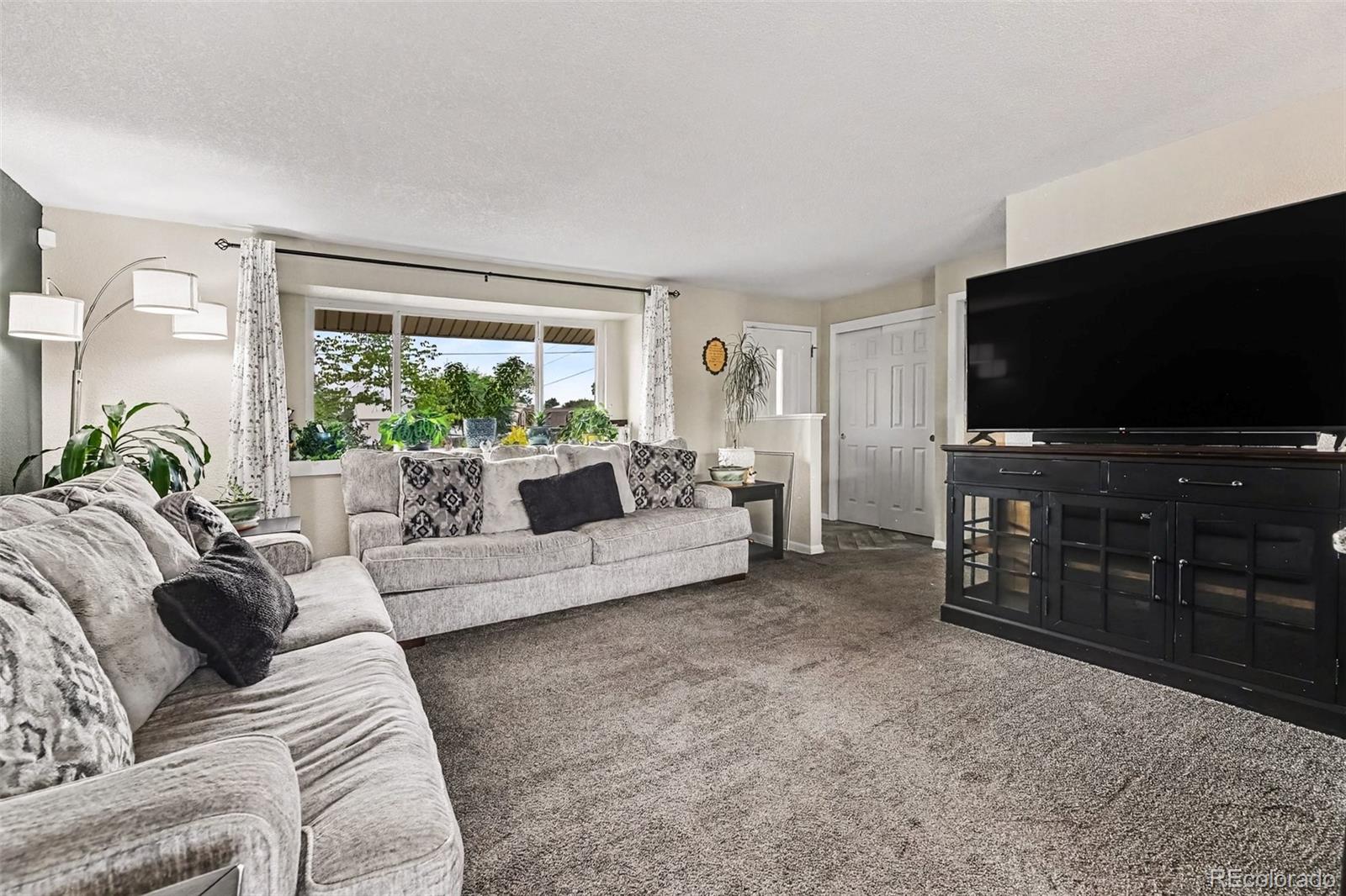 MLS Image #4 for 15860  elmira street,brighton, Colorado