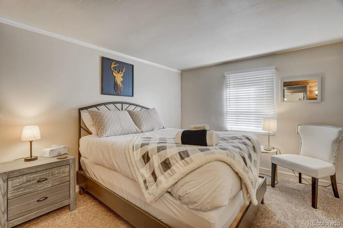 MLS Image #25 for 5625  moosa road,cascade, Colorado
