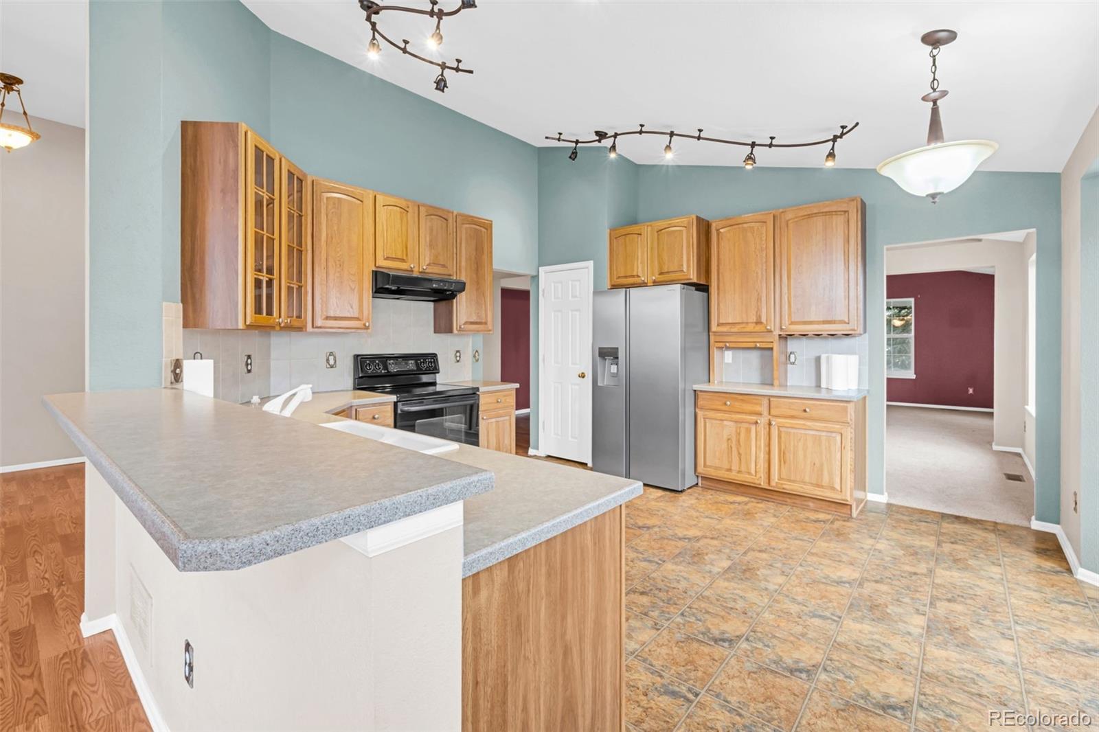 MLS Image #10 for 1048  switch grass drive,castle rock, Colorado
