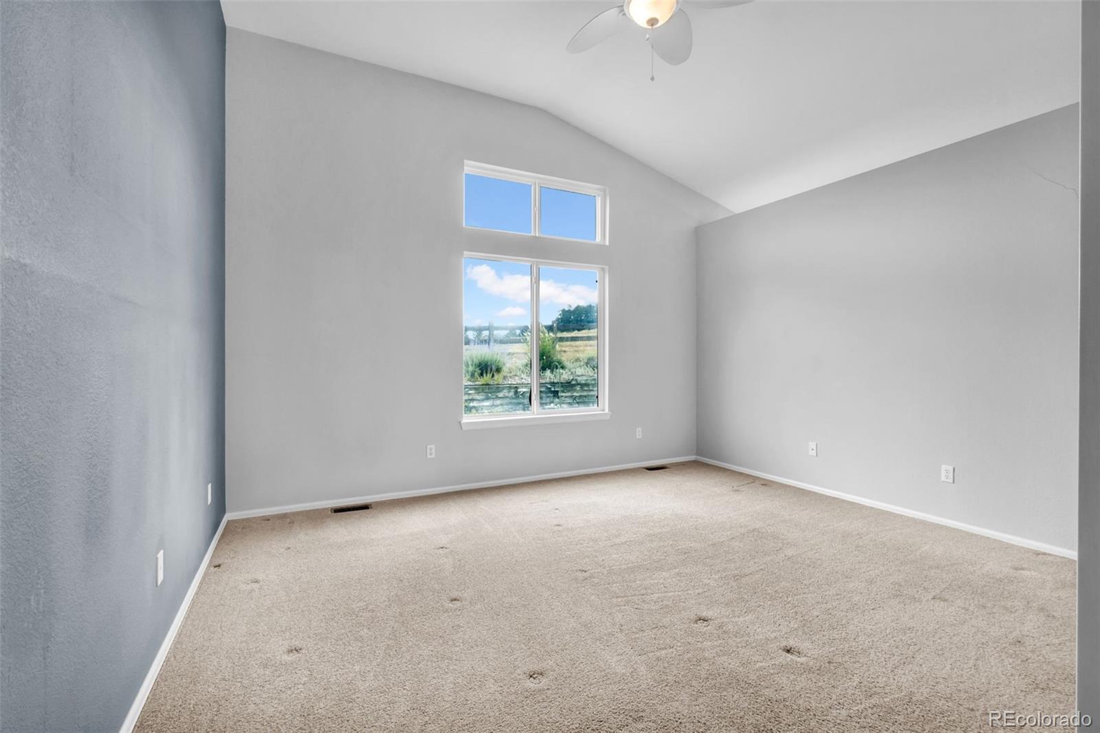 MLS Image #15 for 1048  switch grass drive,castle rock, Colorado
