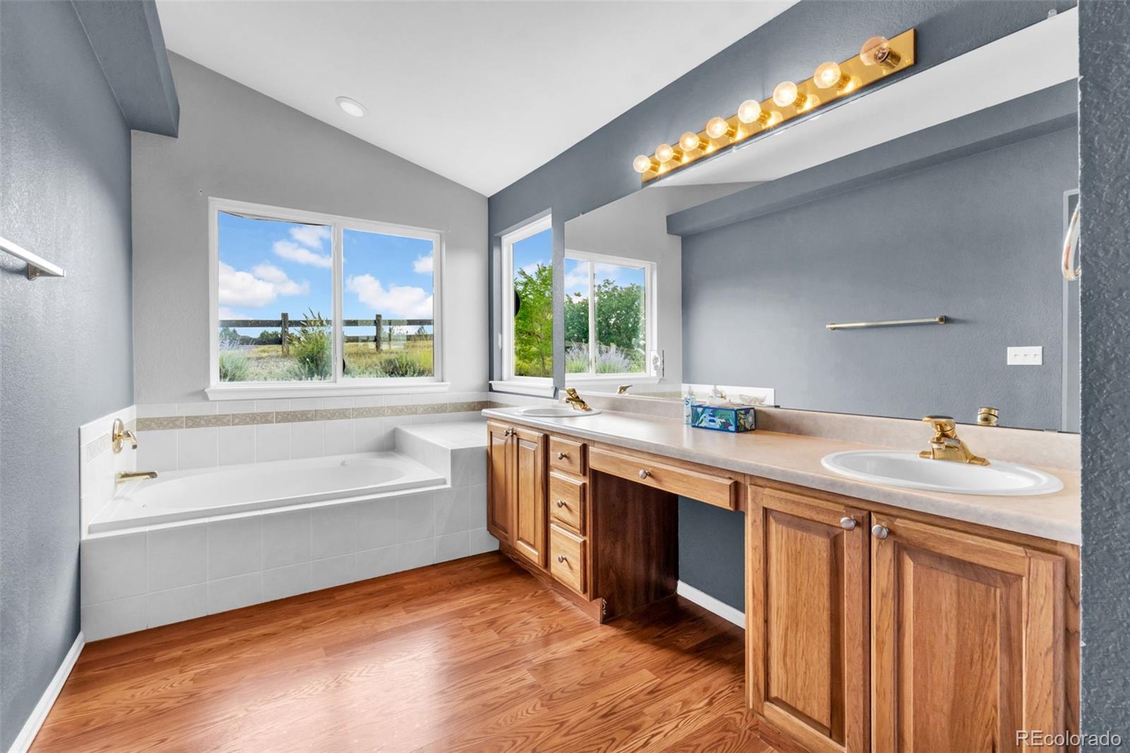 MLS Image #17 for 1048  switch grass drive,castle rock, Colorado
